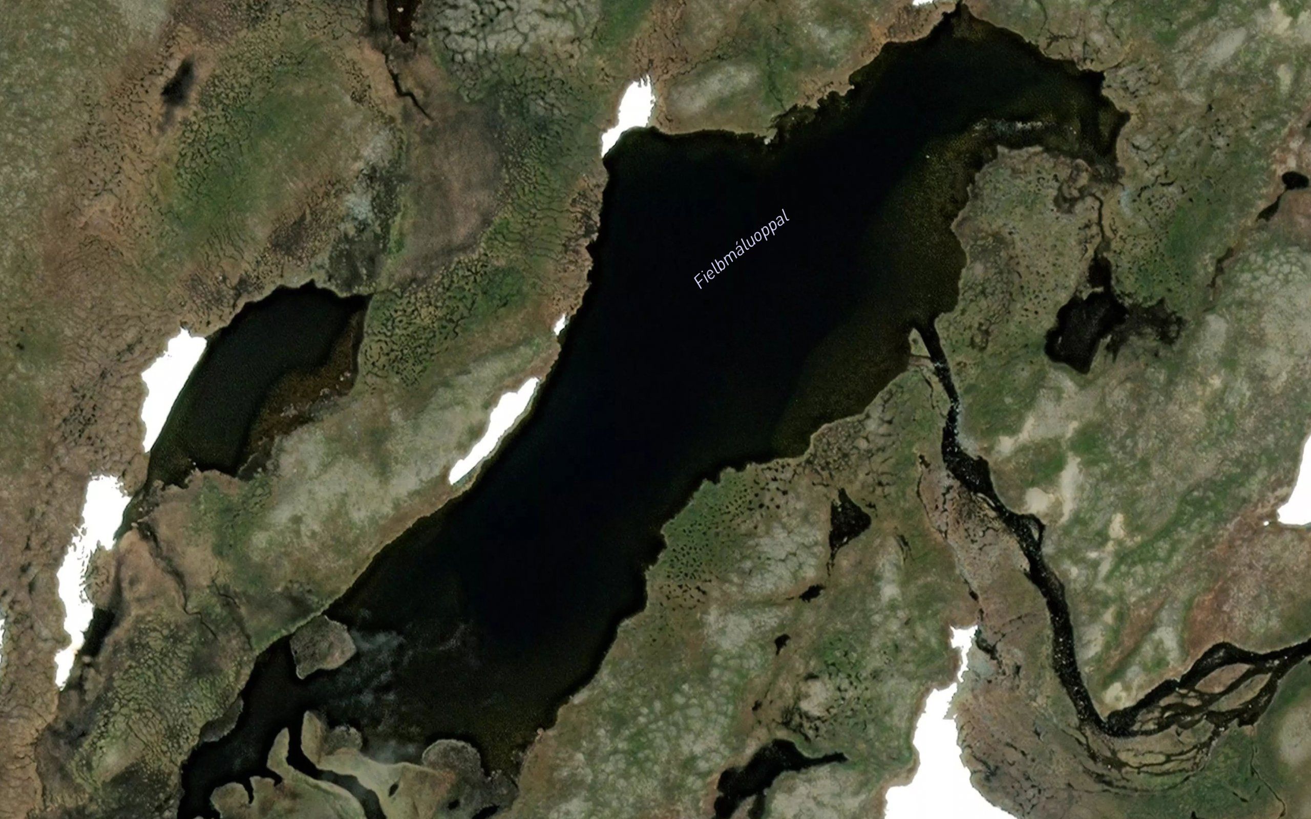 Fielbmaluoppal