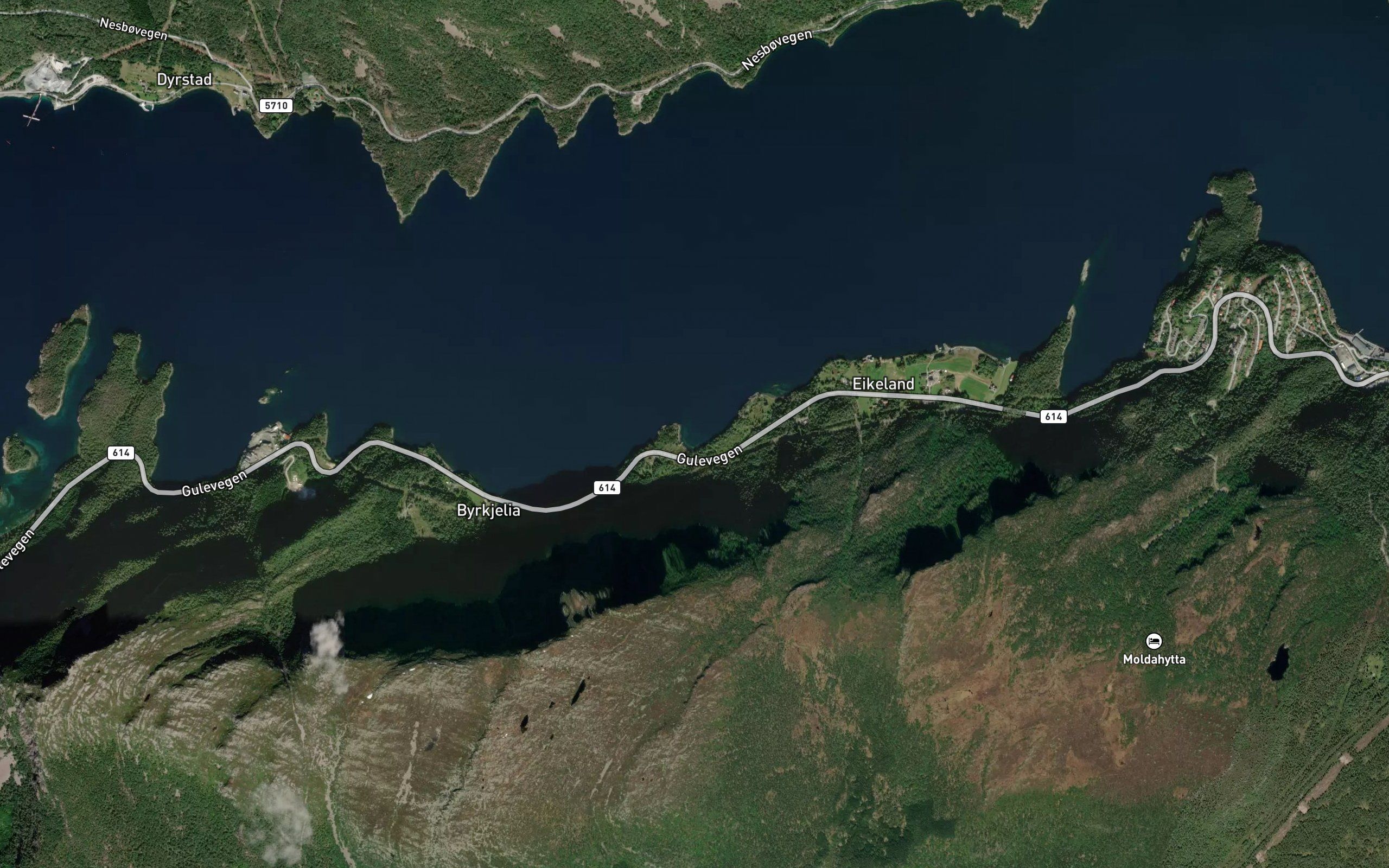 Svinevika