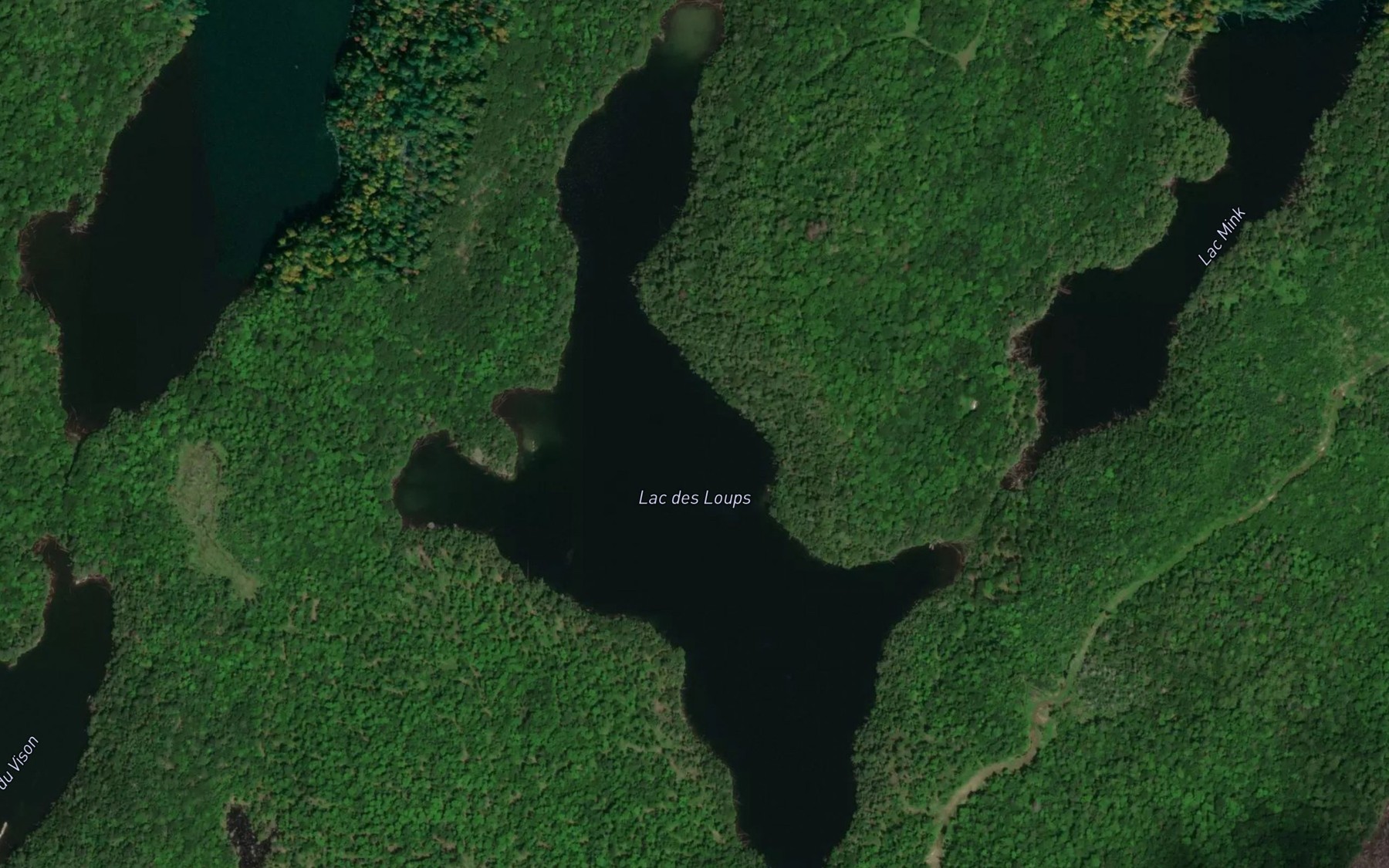 Satellite map of the Lac des Loups