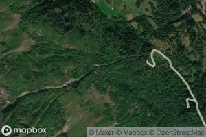 Aningselva