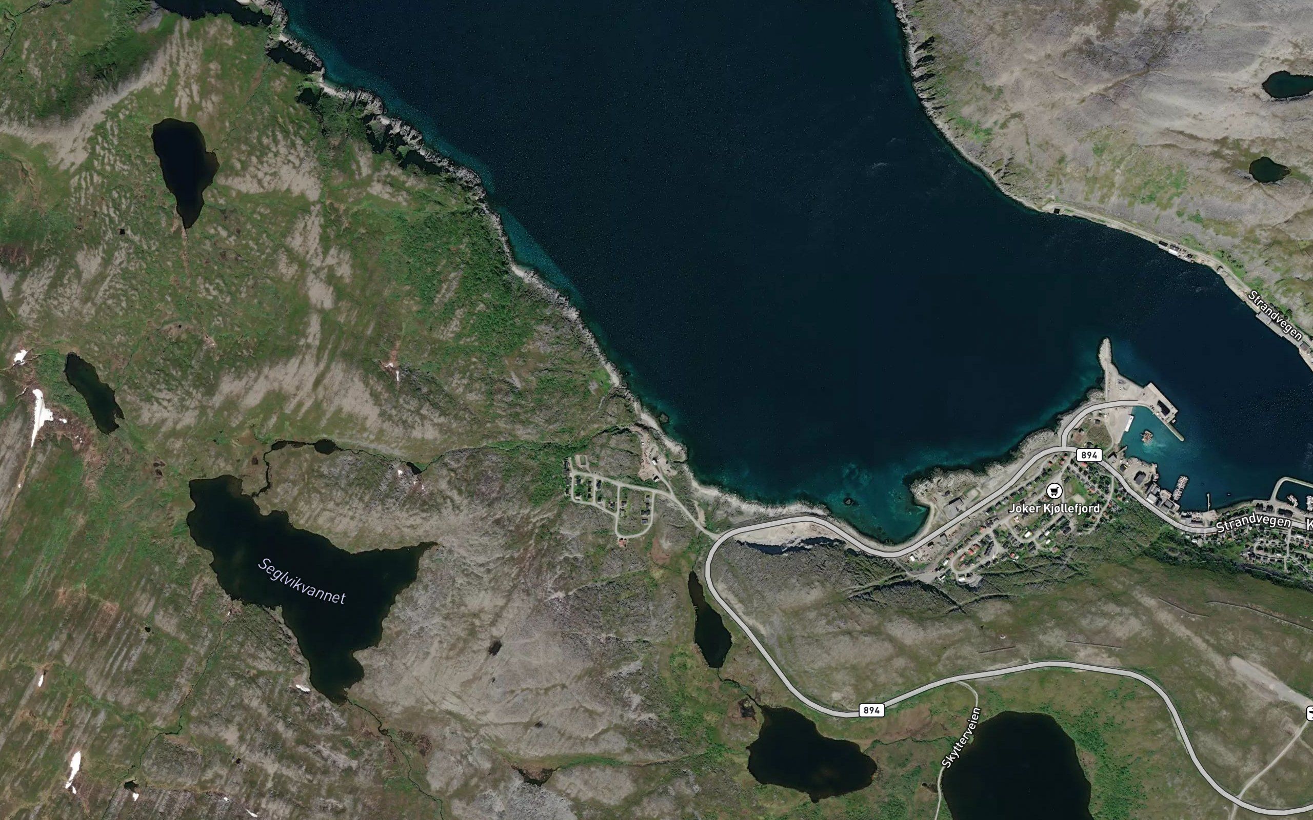 Snappvika