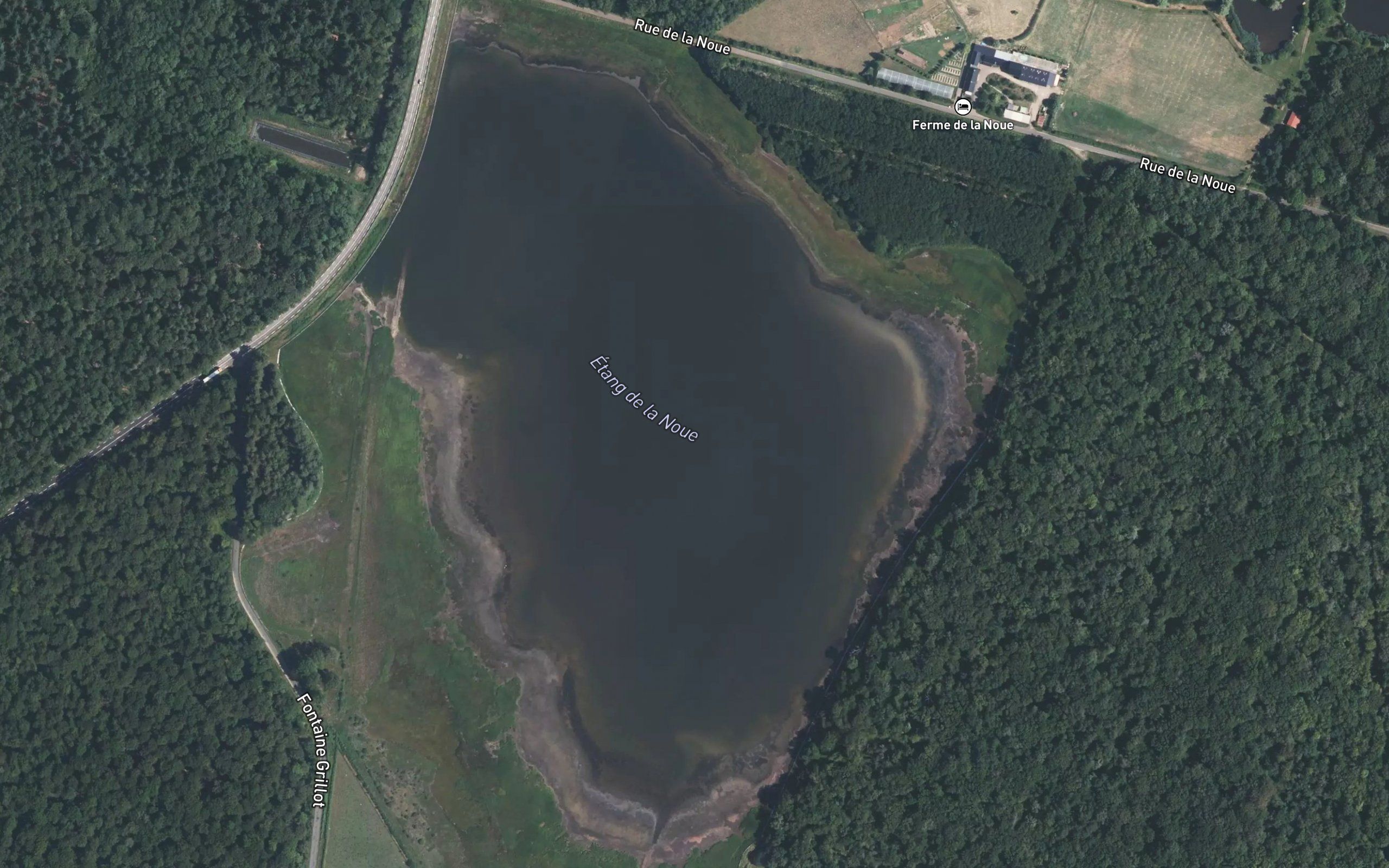 Etang de la Noue