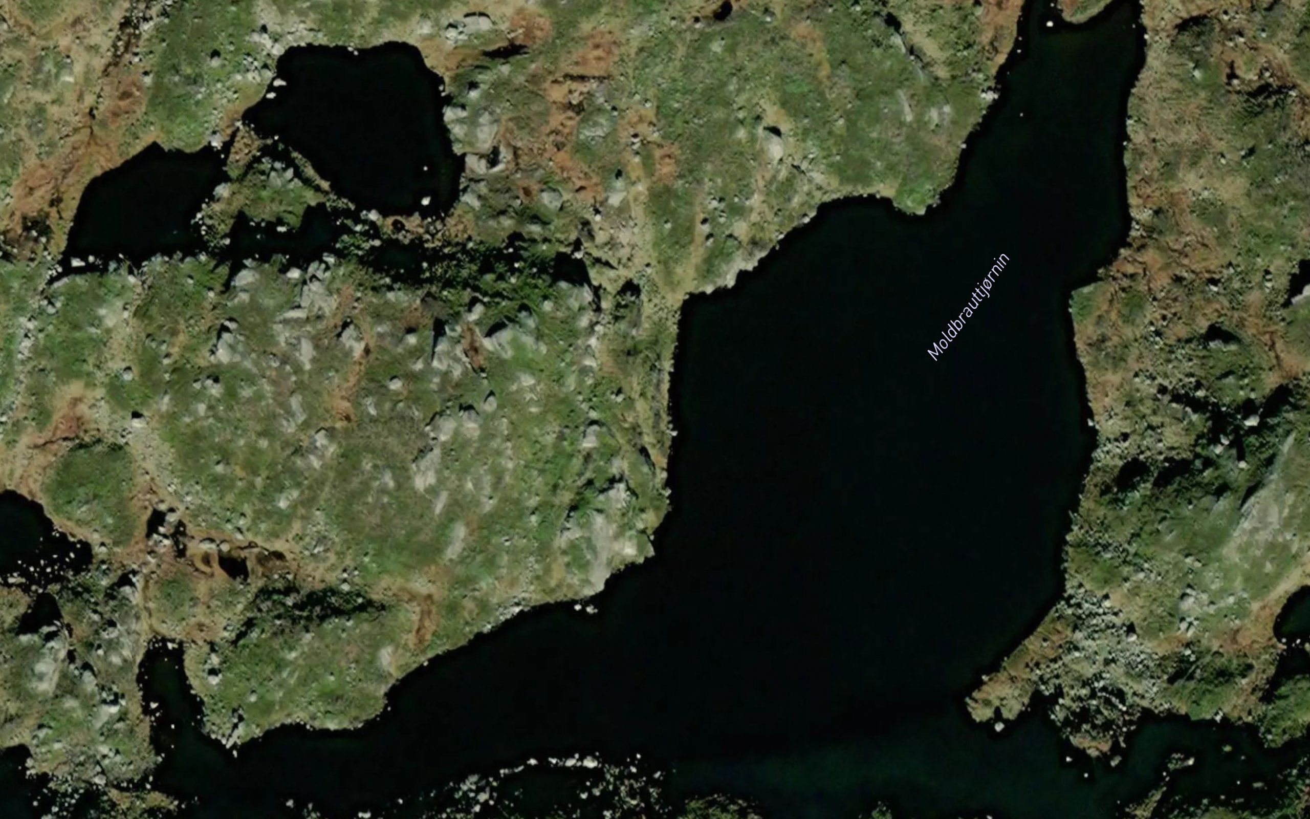 Moldbrauttjornin