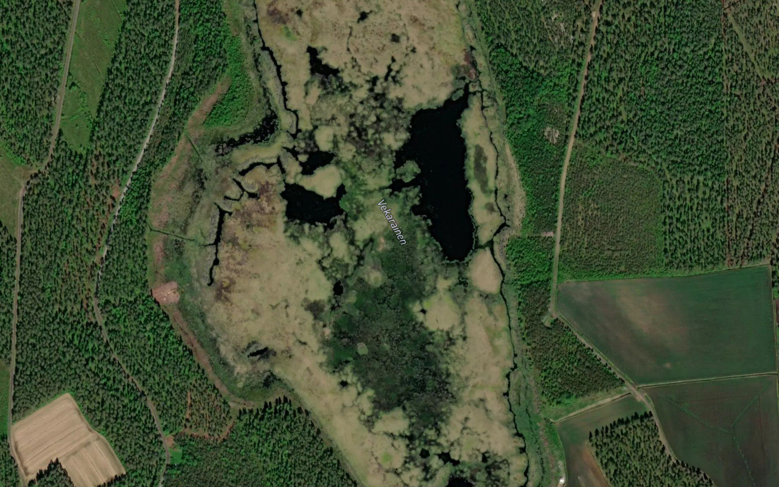 Vekarainen