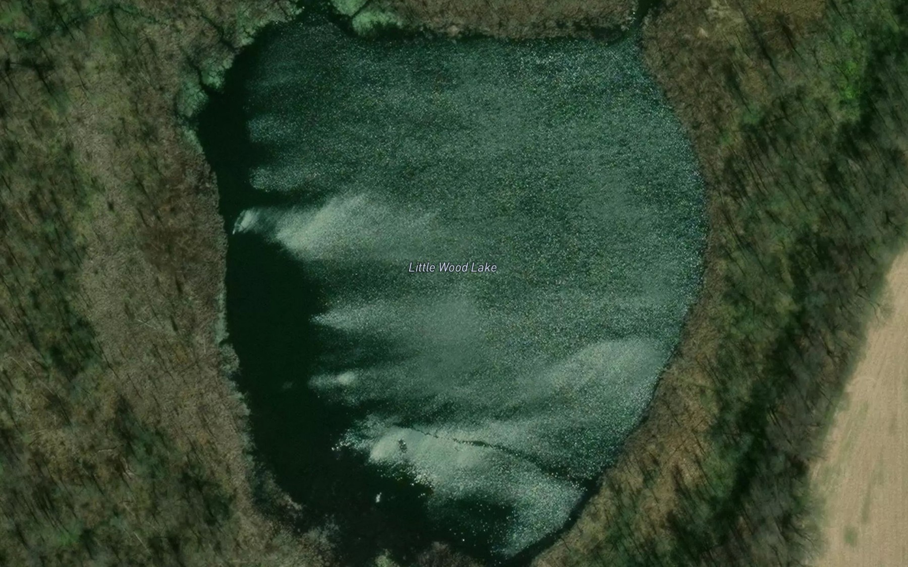 Satellite map of the Little Wood Lake