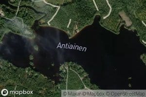 Antiainen