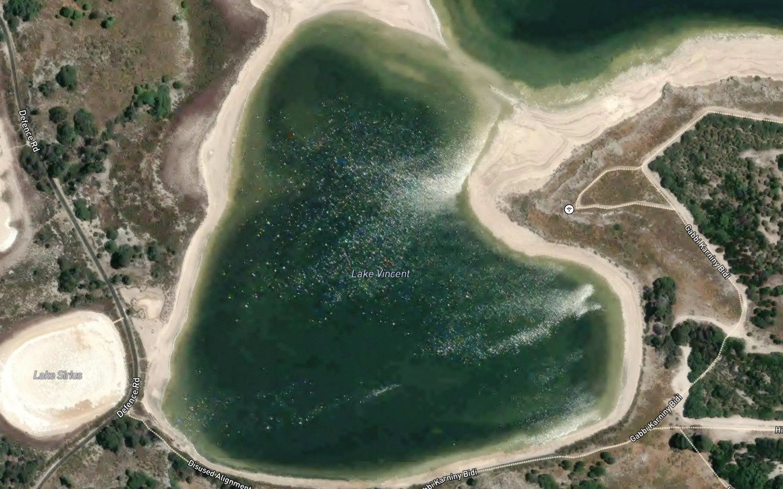 Lake Vincent
