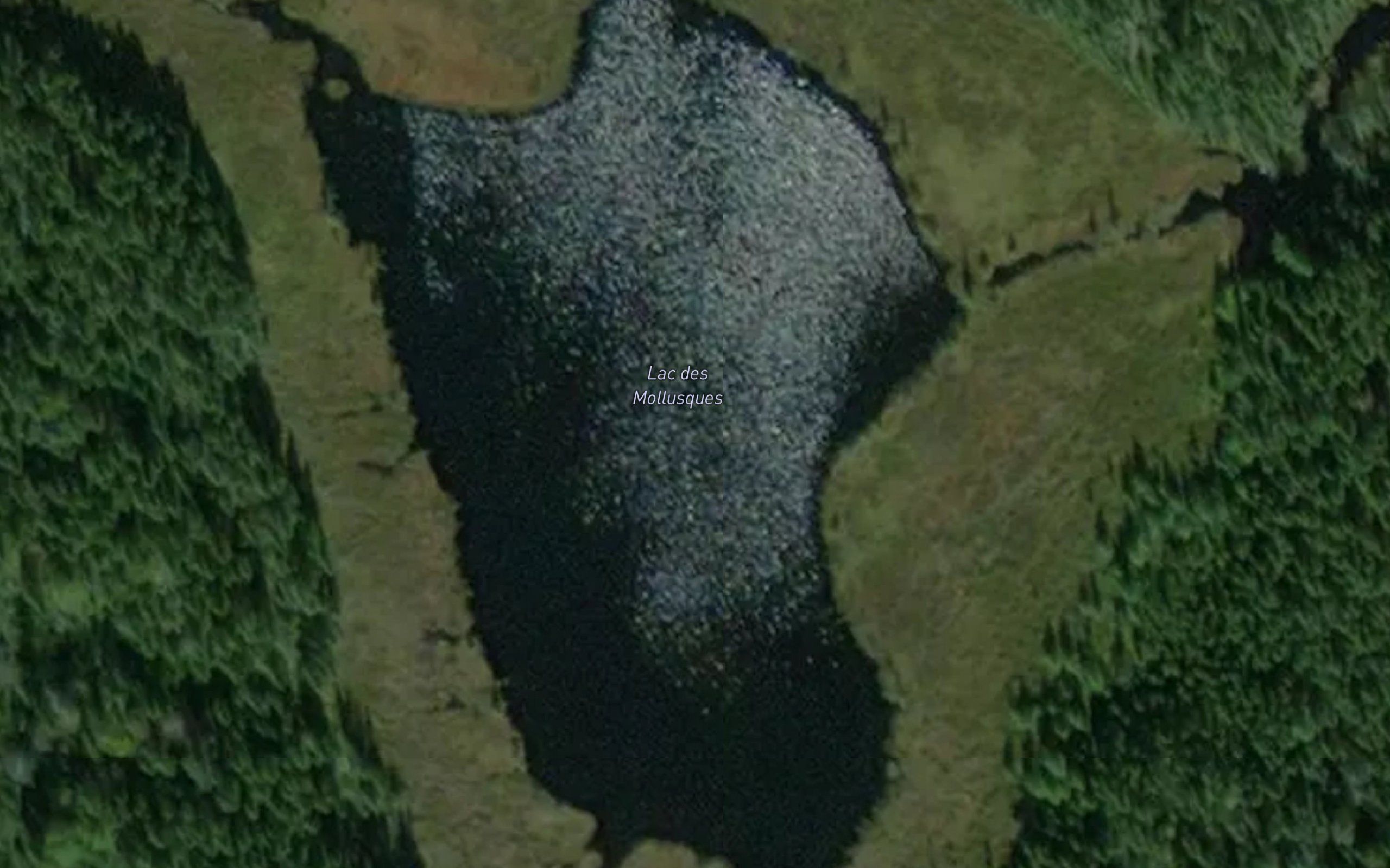 Lac des Mollusques