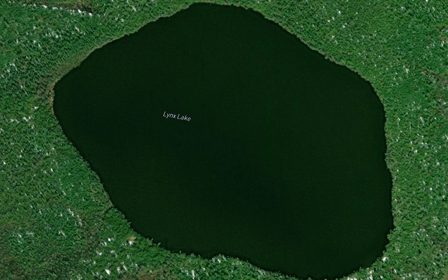 Satellite map of the Lynx Lake