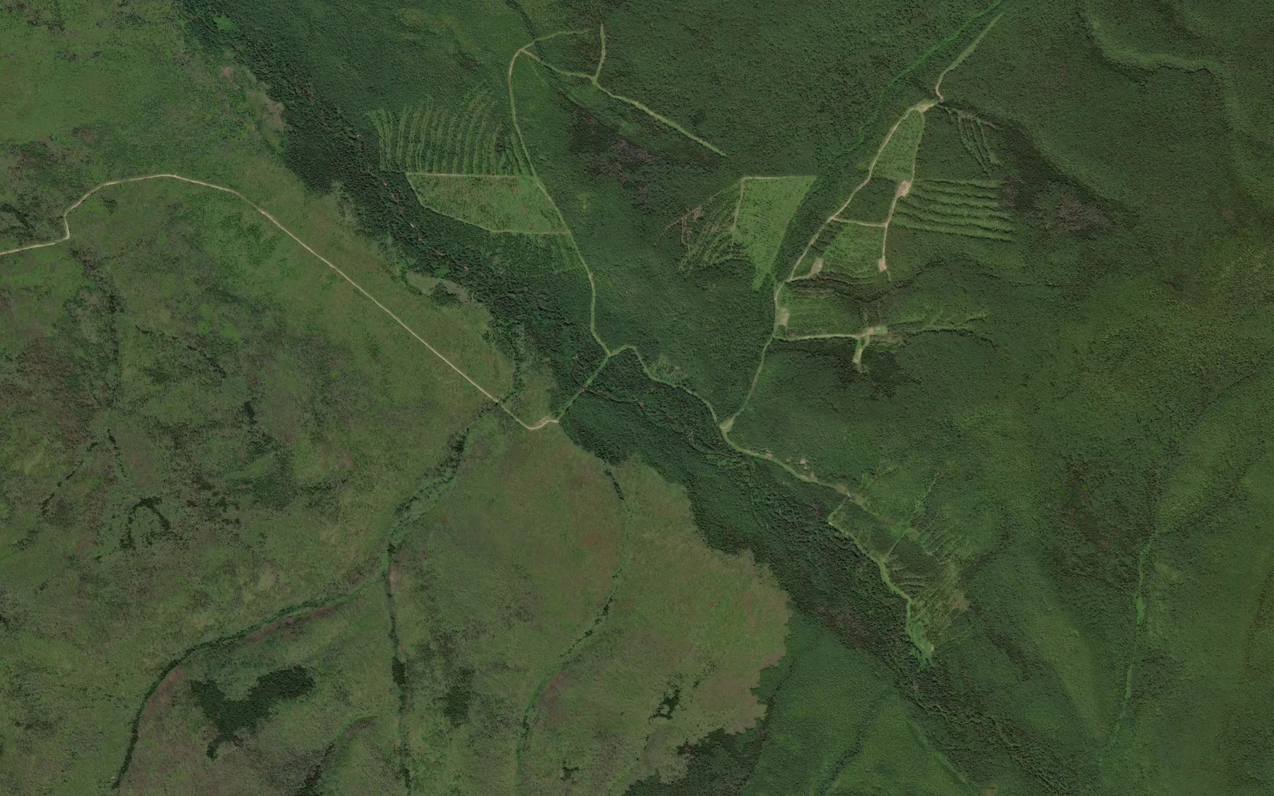 Satellite map of the Kustarnikovyy