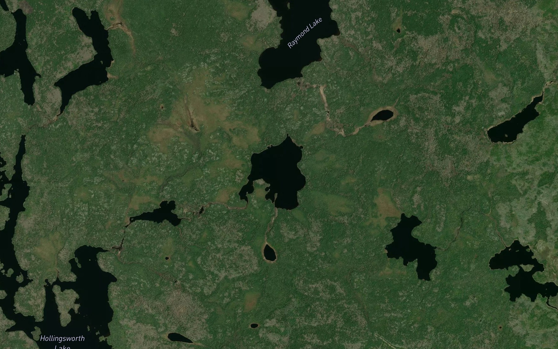 Satellite map of the Medallion Lake