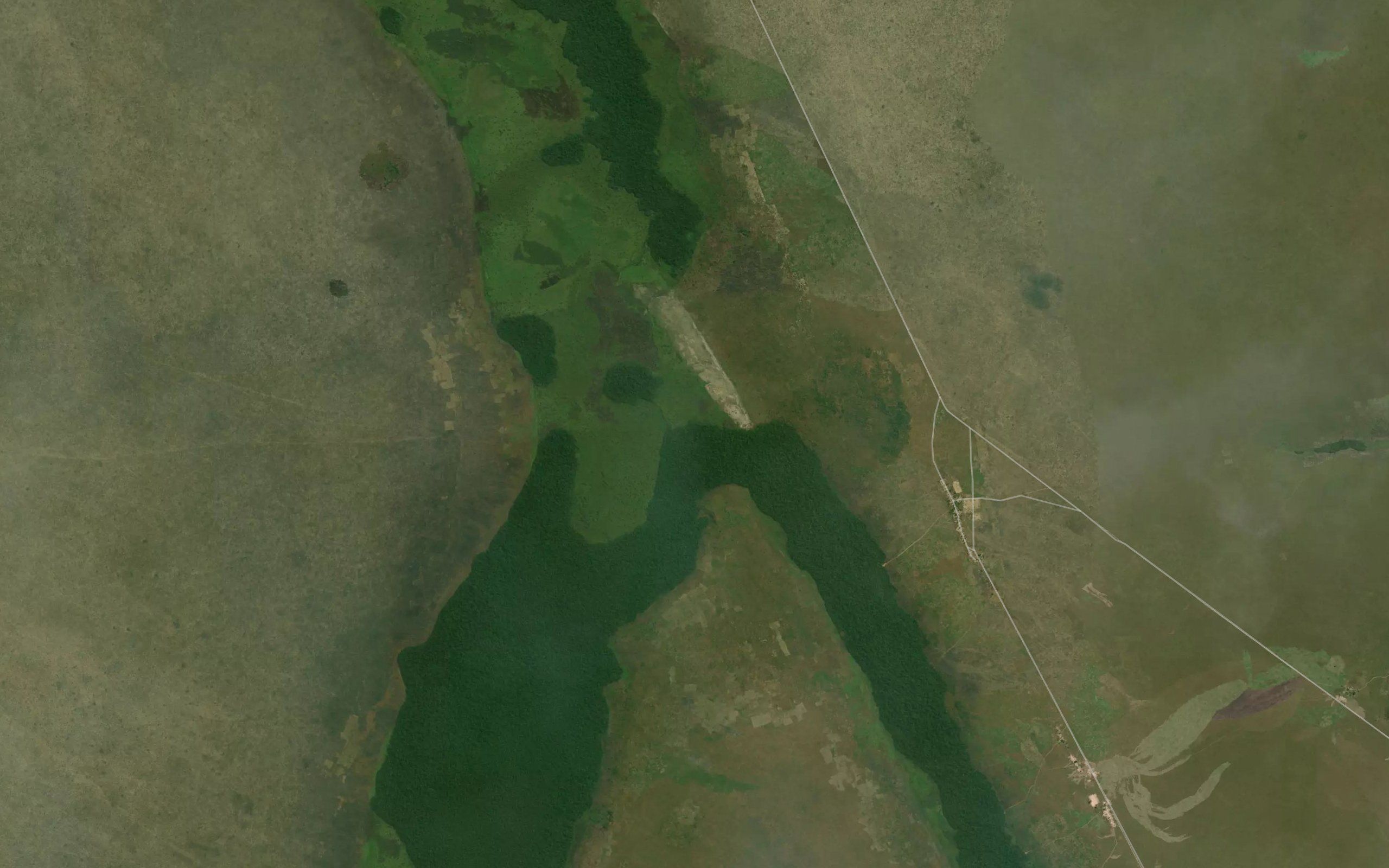 Mujingwe