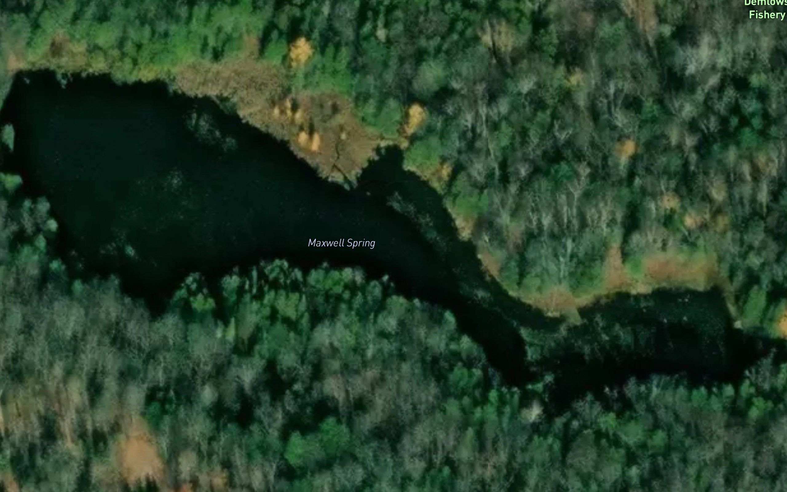 Maxwell Spring