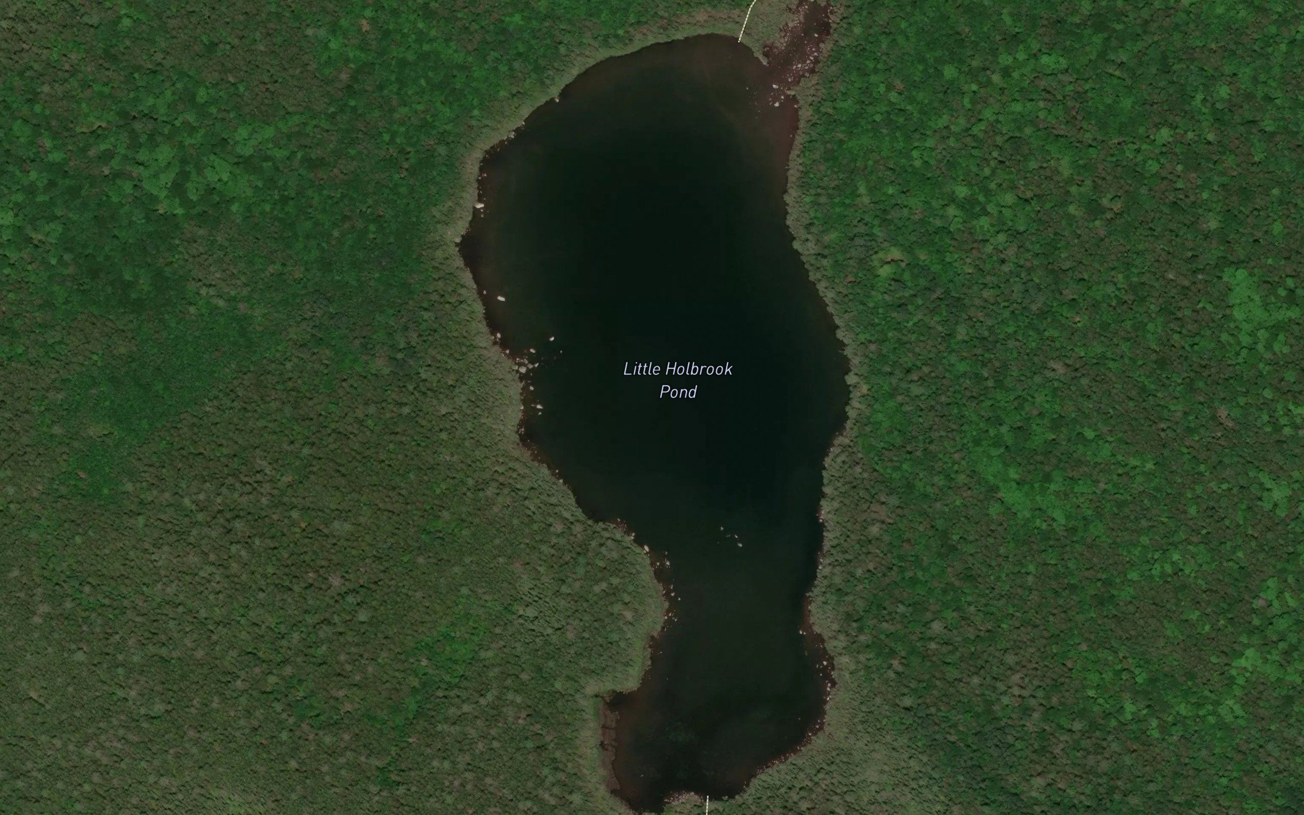 Little Holbrook Pond