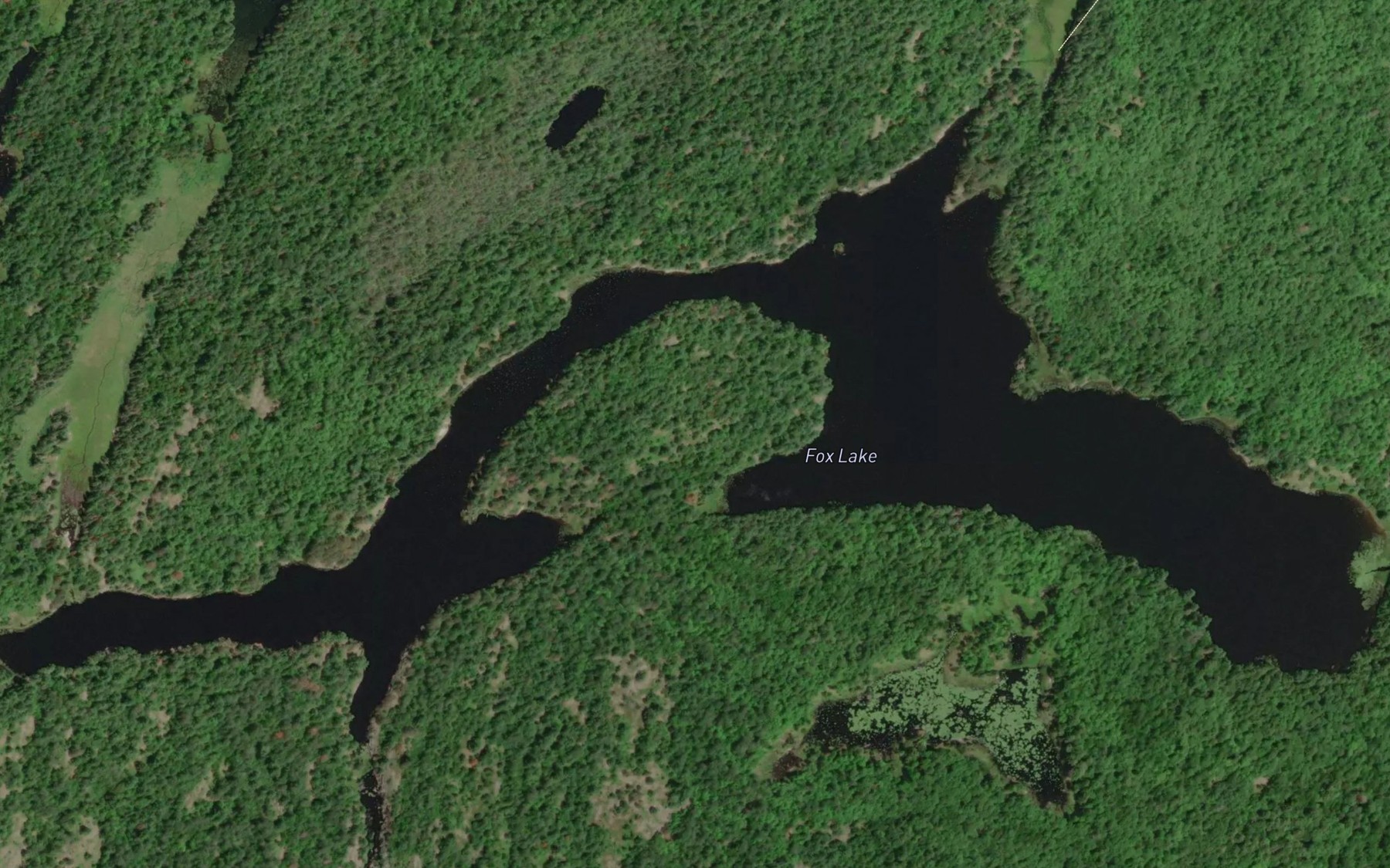 Satellite map of the Fox Lake