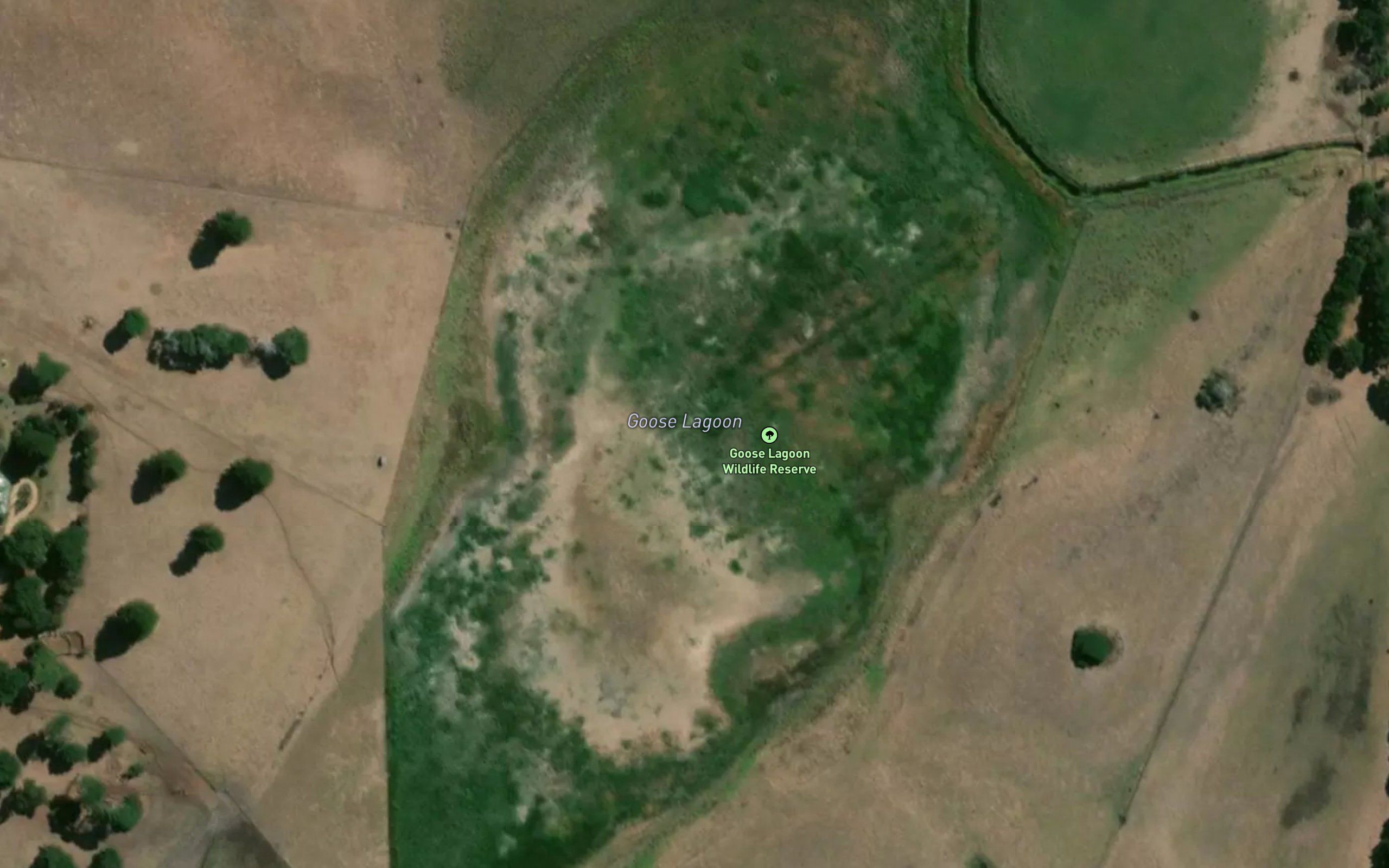 Goose Lagoon