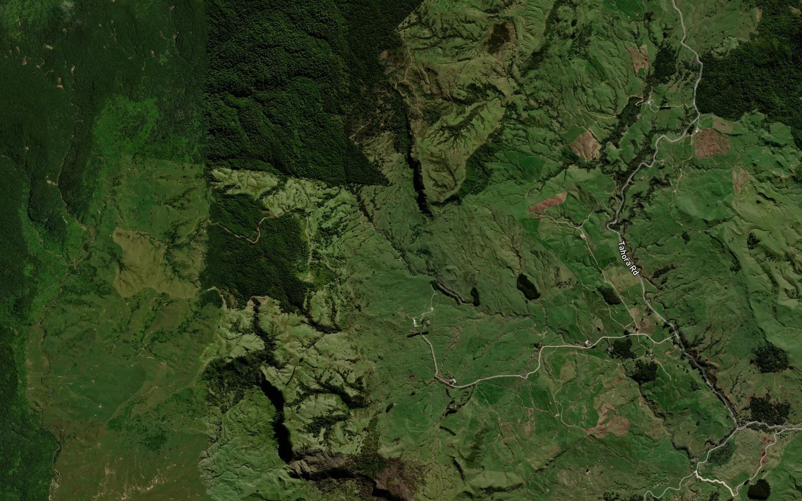 Haupapa Stream