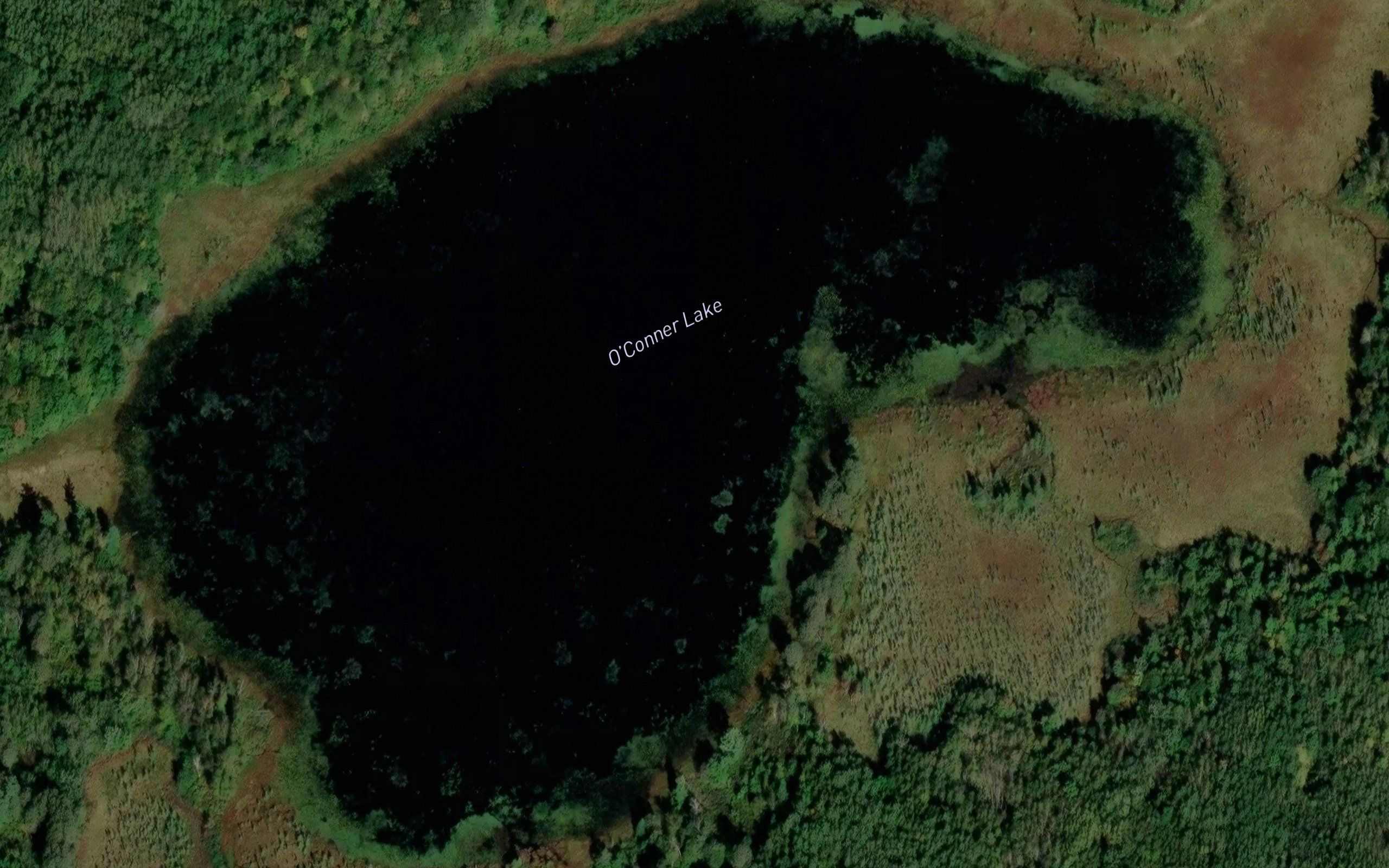 O'Conner Lake