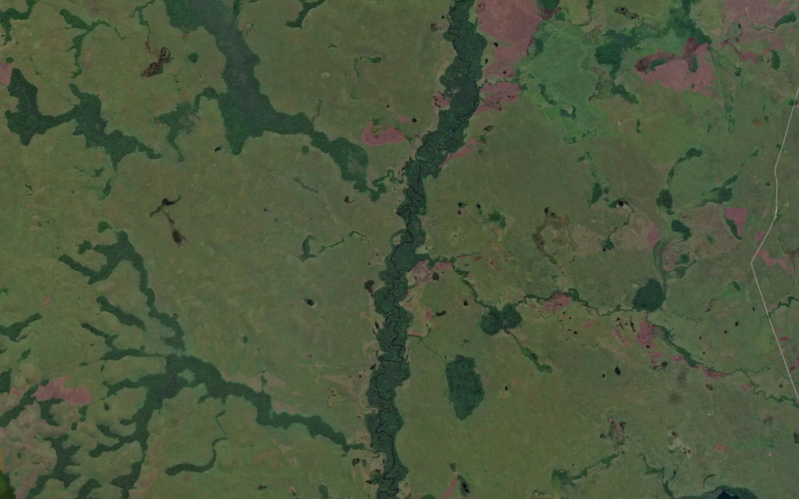 Zala