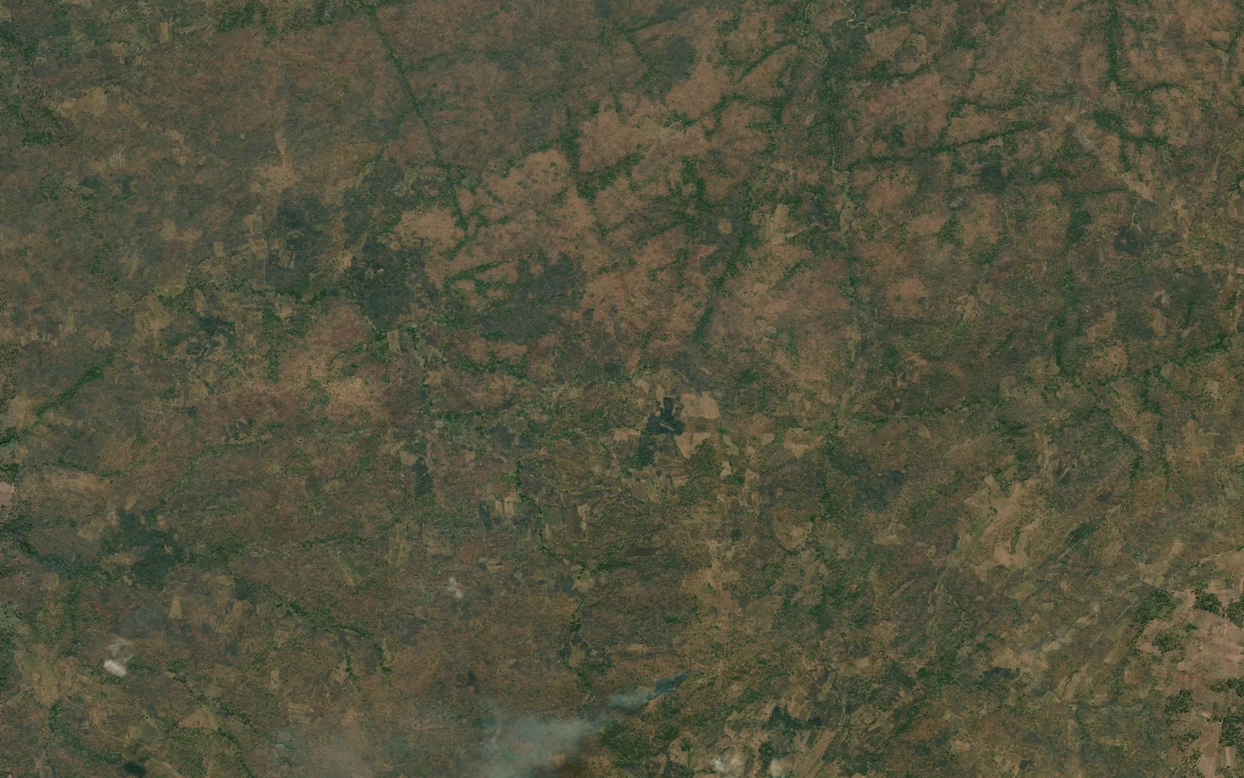 Chizikwe