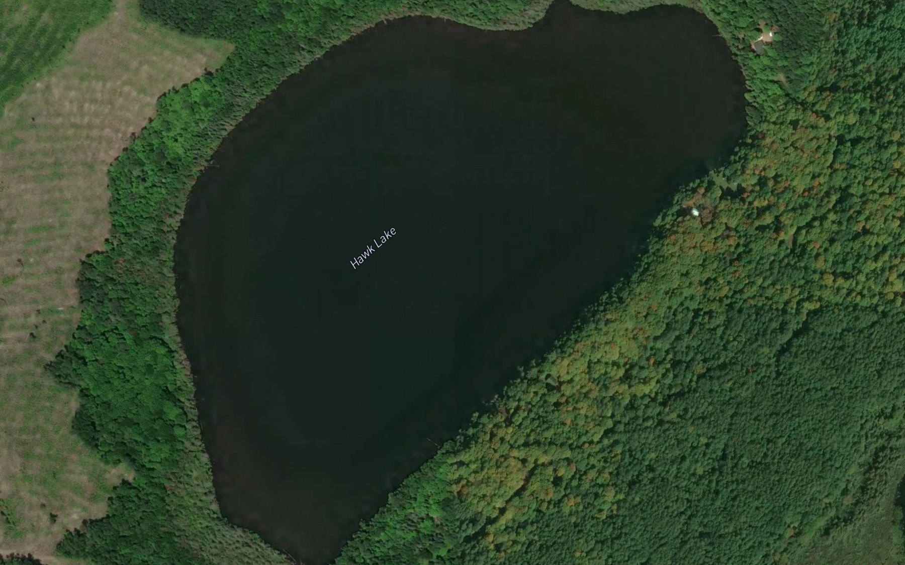 Satellite map of the Hawk Lake