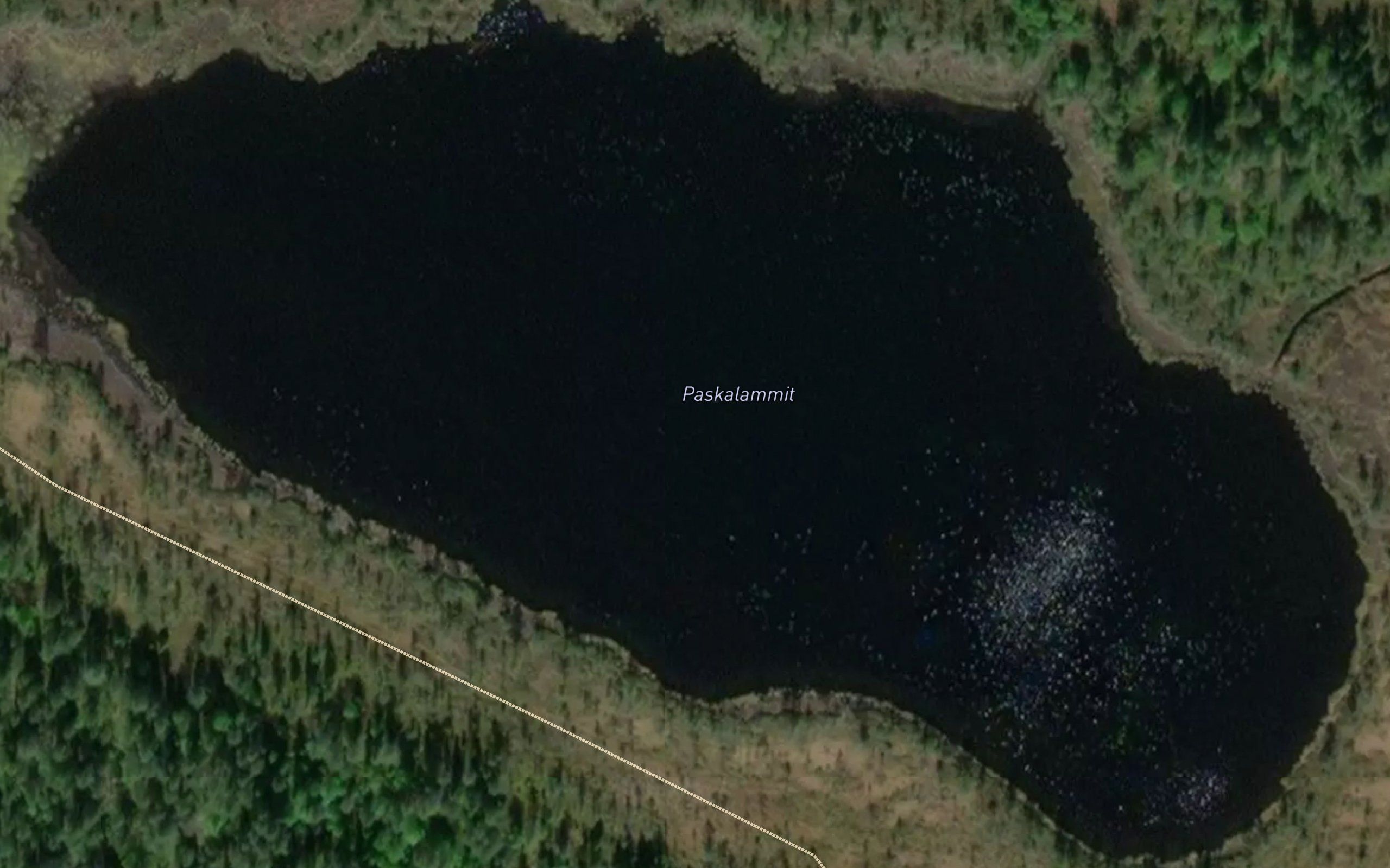 Paskalammit