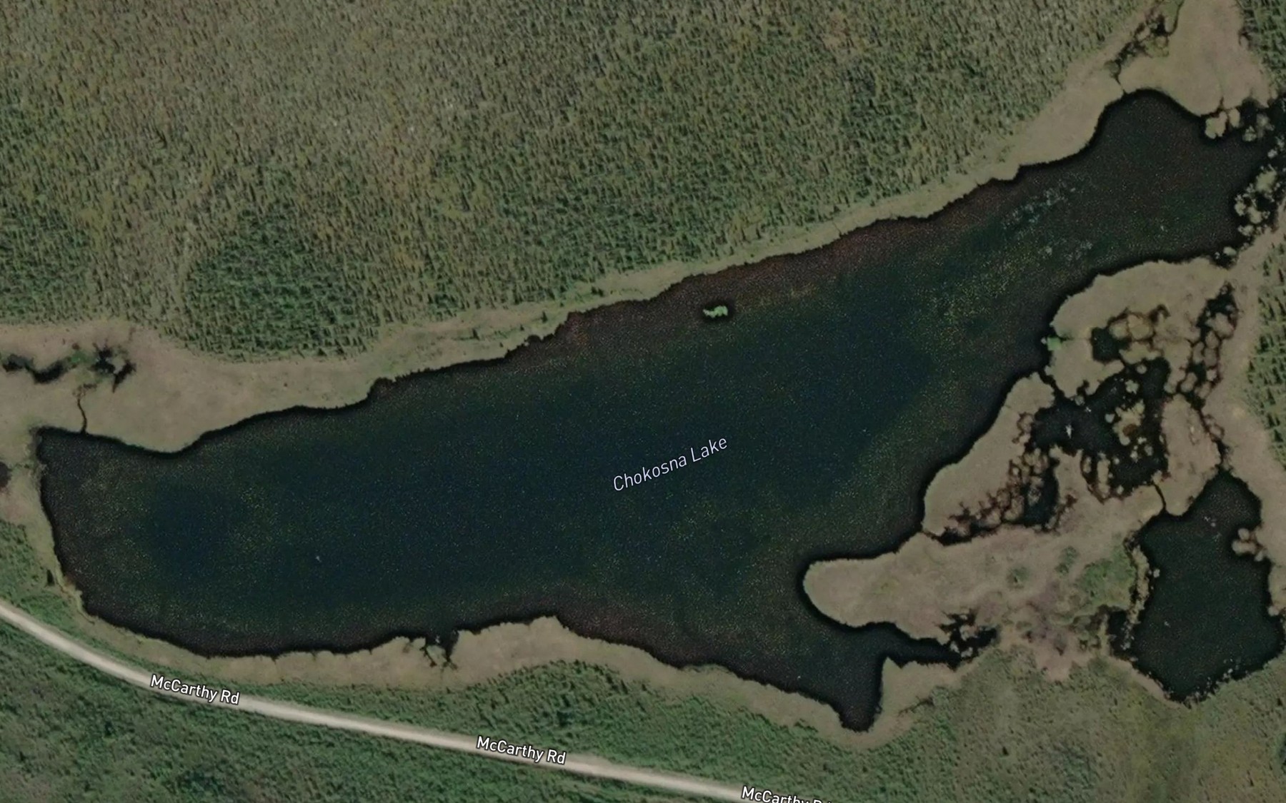 Satellite map of the Chokosna Lake