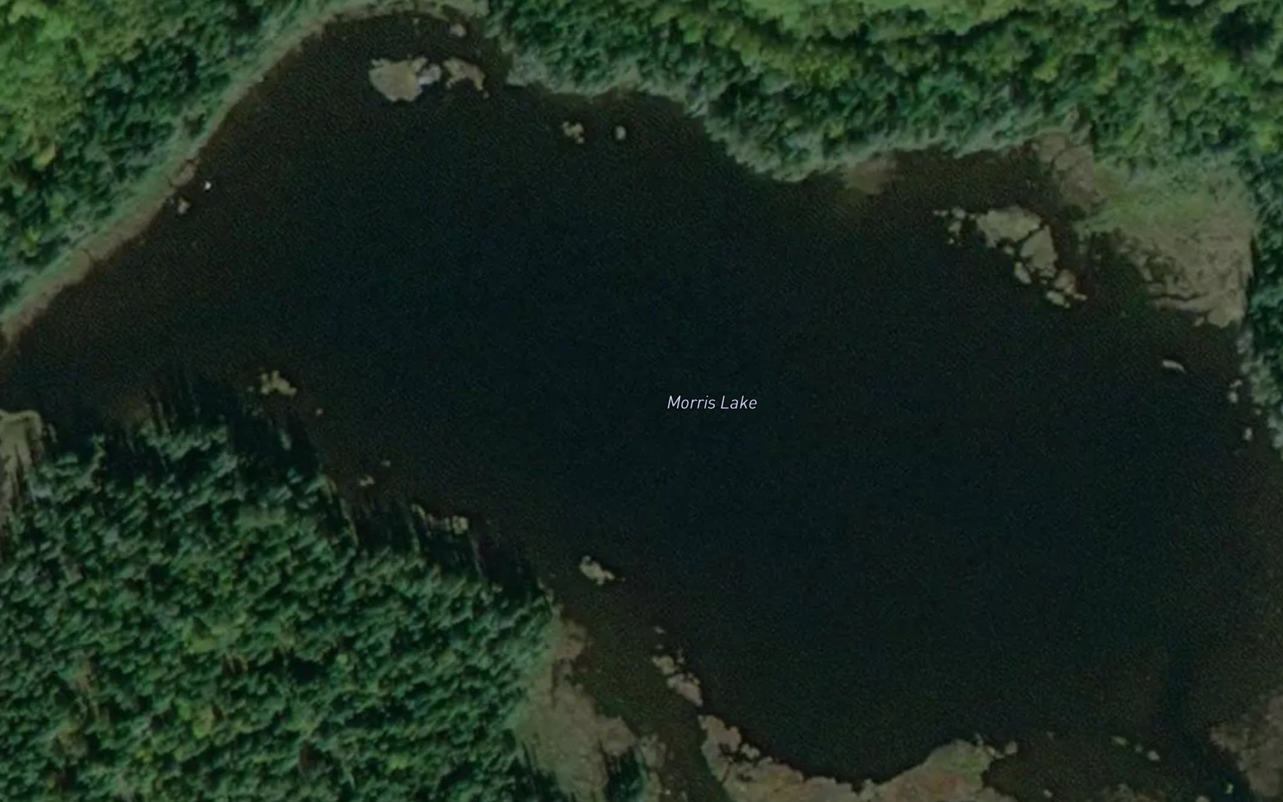 Satellite map of the Morris Lake