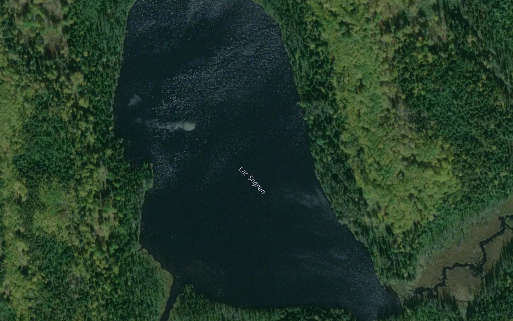 Satellite map of the Lac Sognan