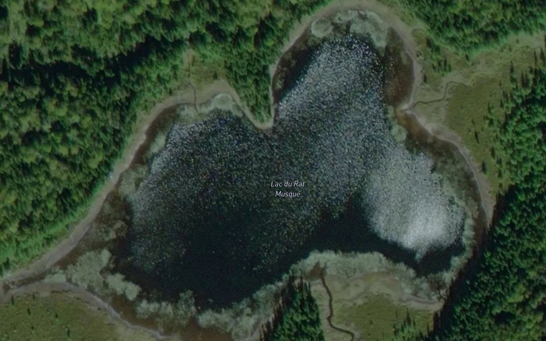 Satellite map of the Lac du Rat Musque