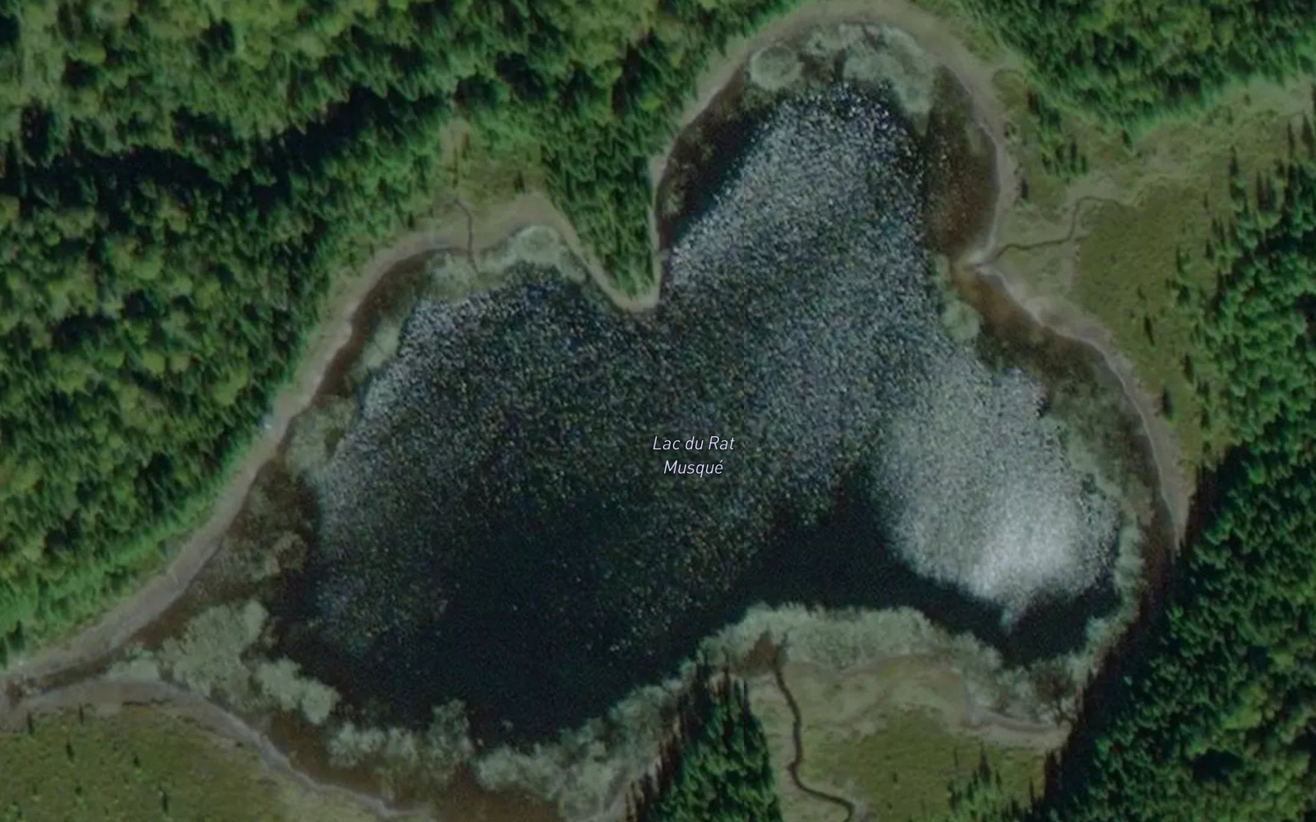 Lac du Rat Musque