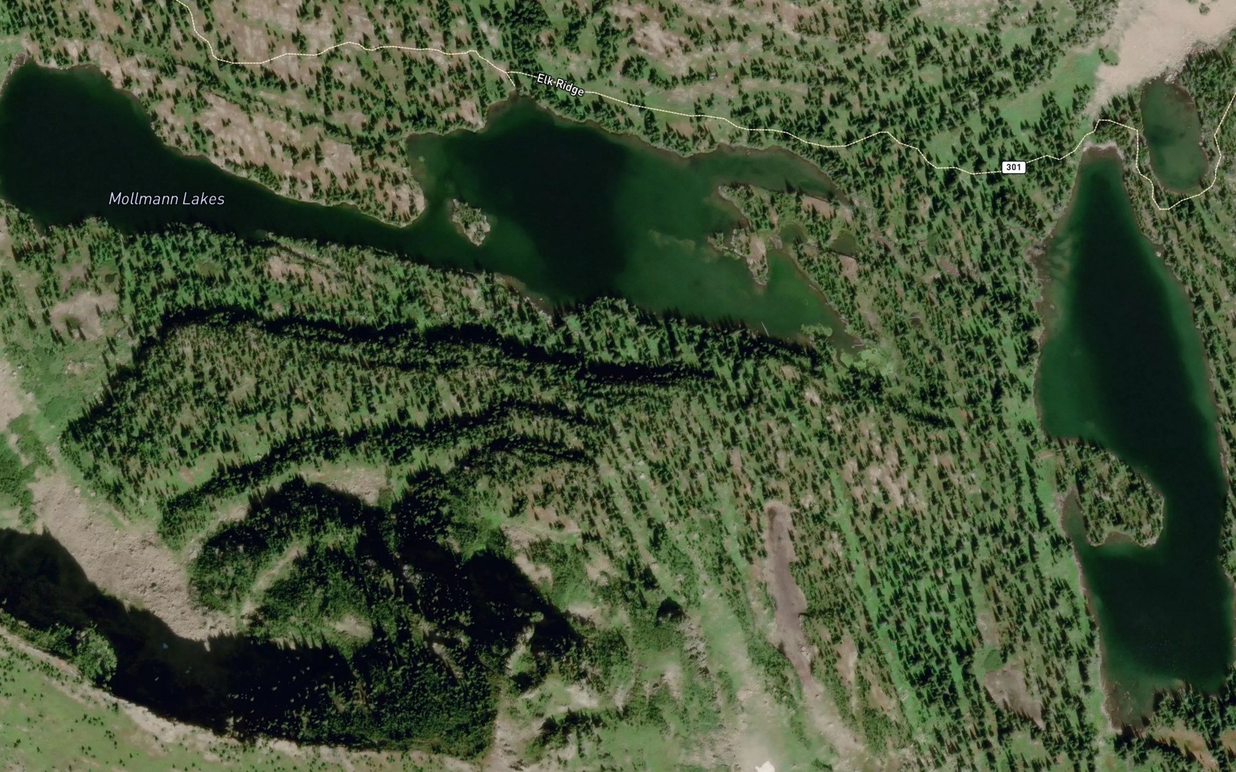 Satellite map of the Mollman Lakes