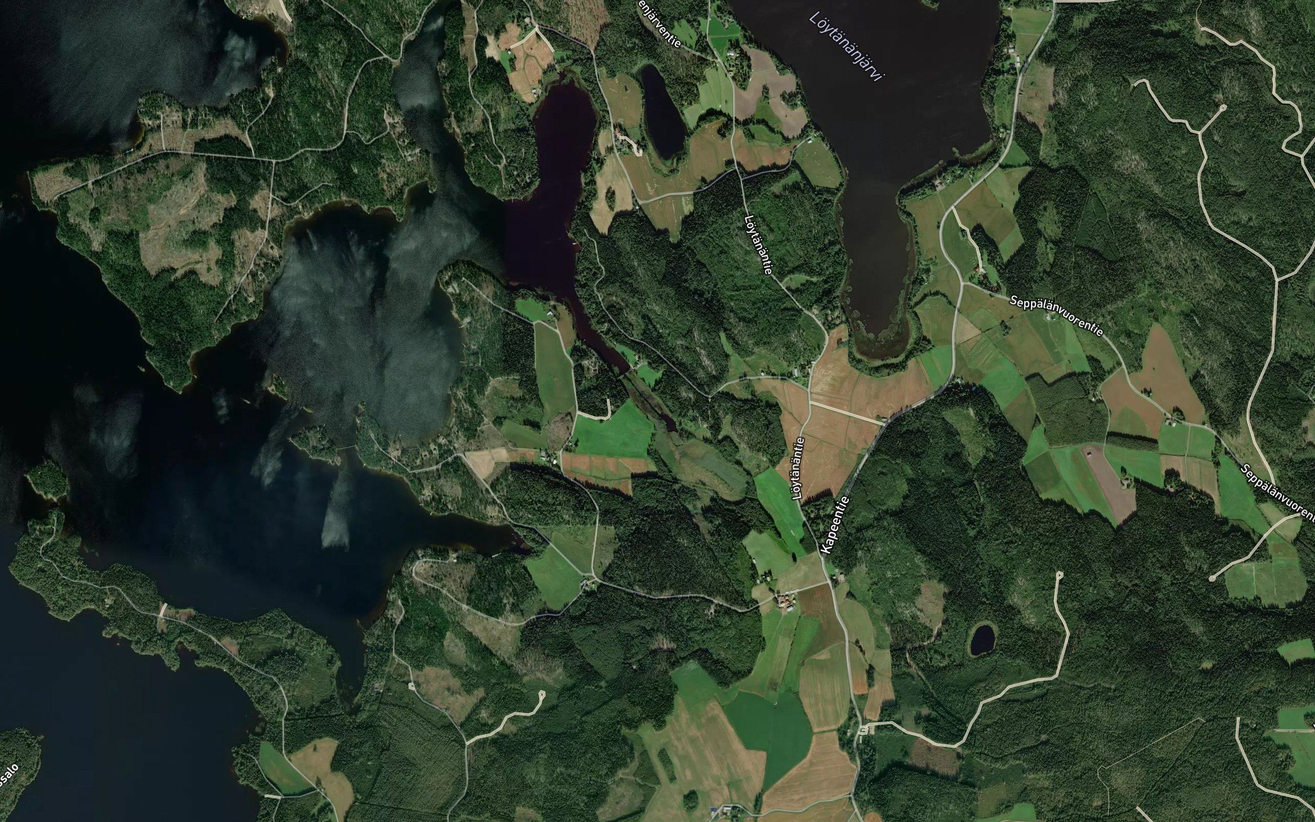 Pitkalahti