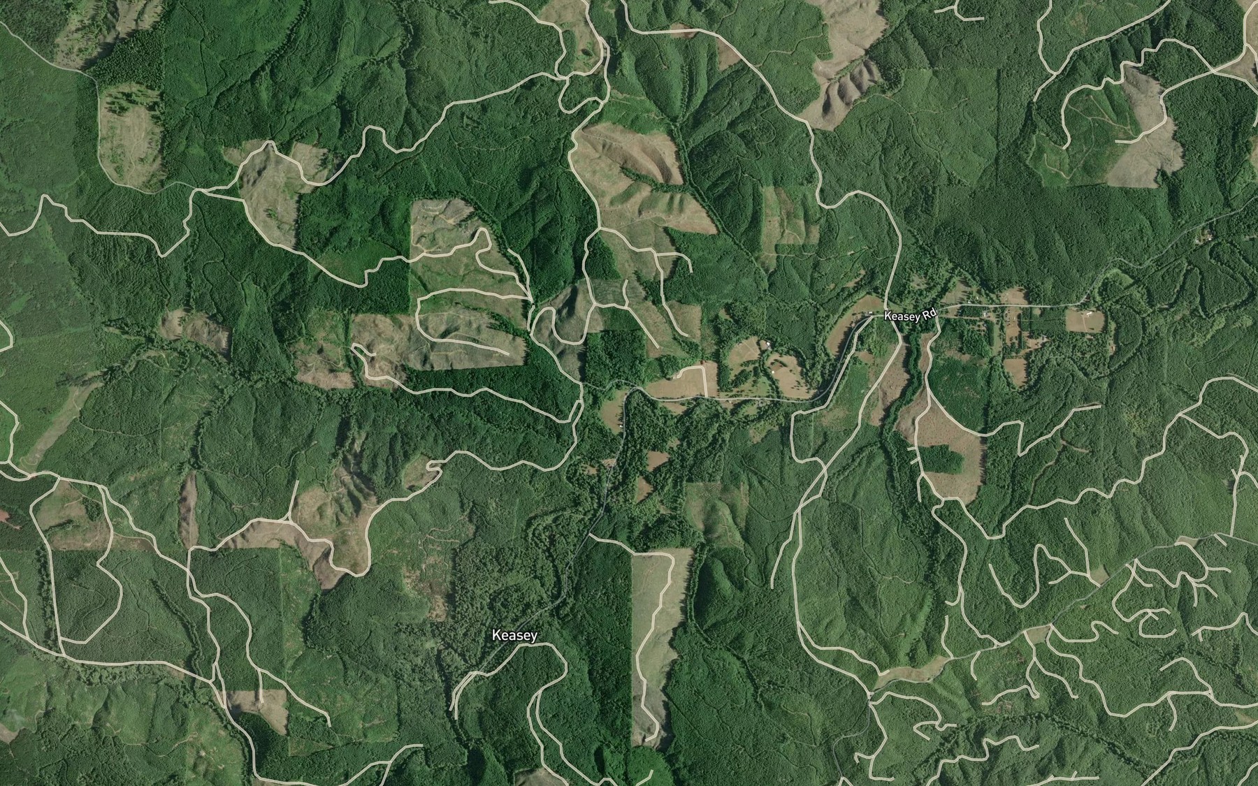 Satellite map of the Selder Creek