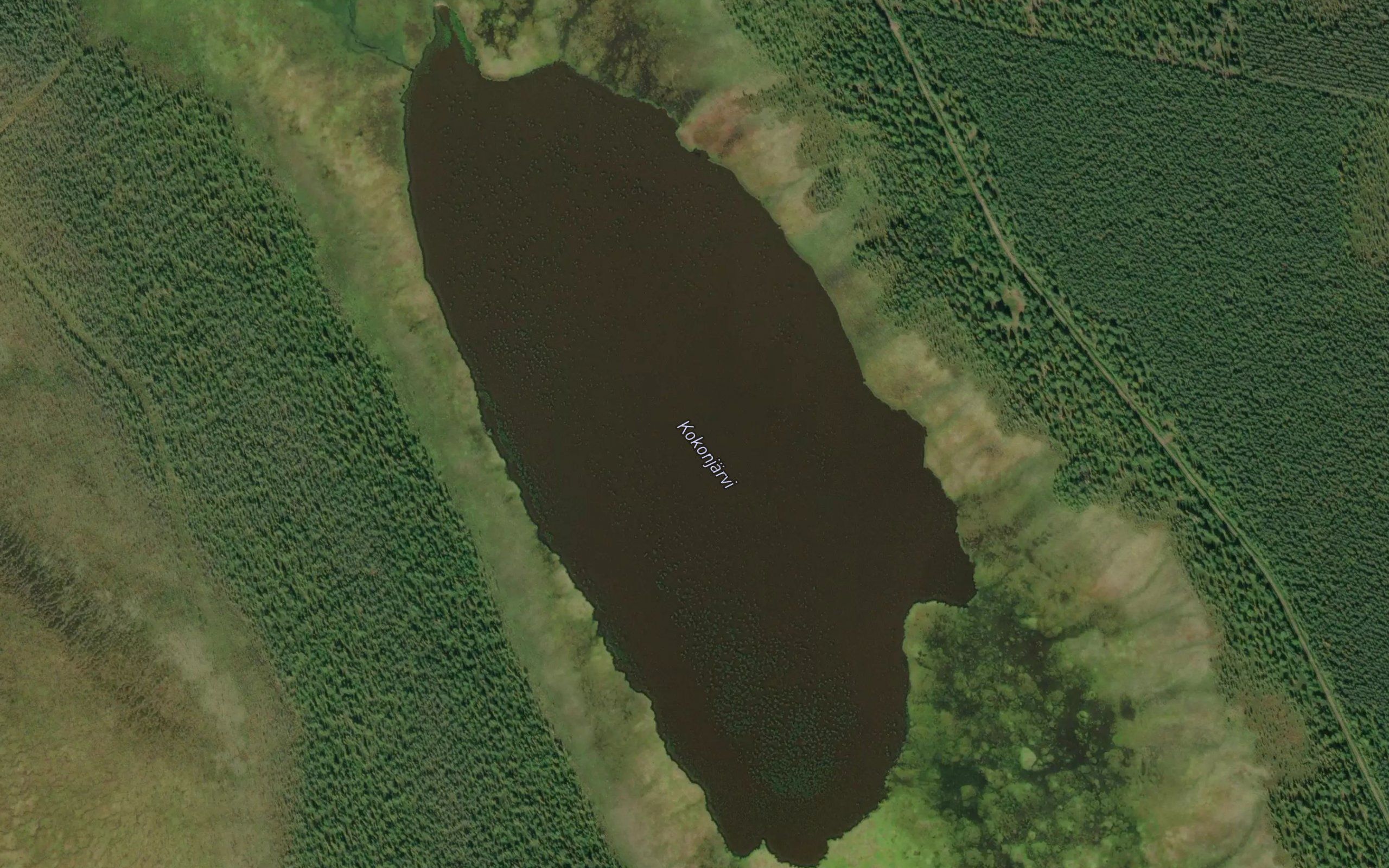 Kokonjarvi