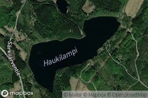 Haukilampi