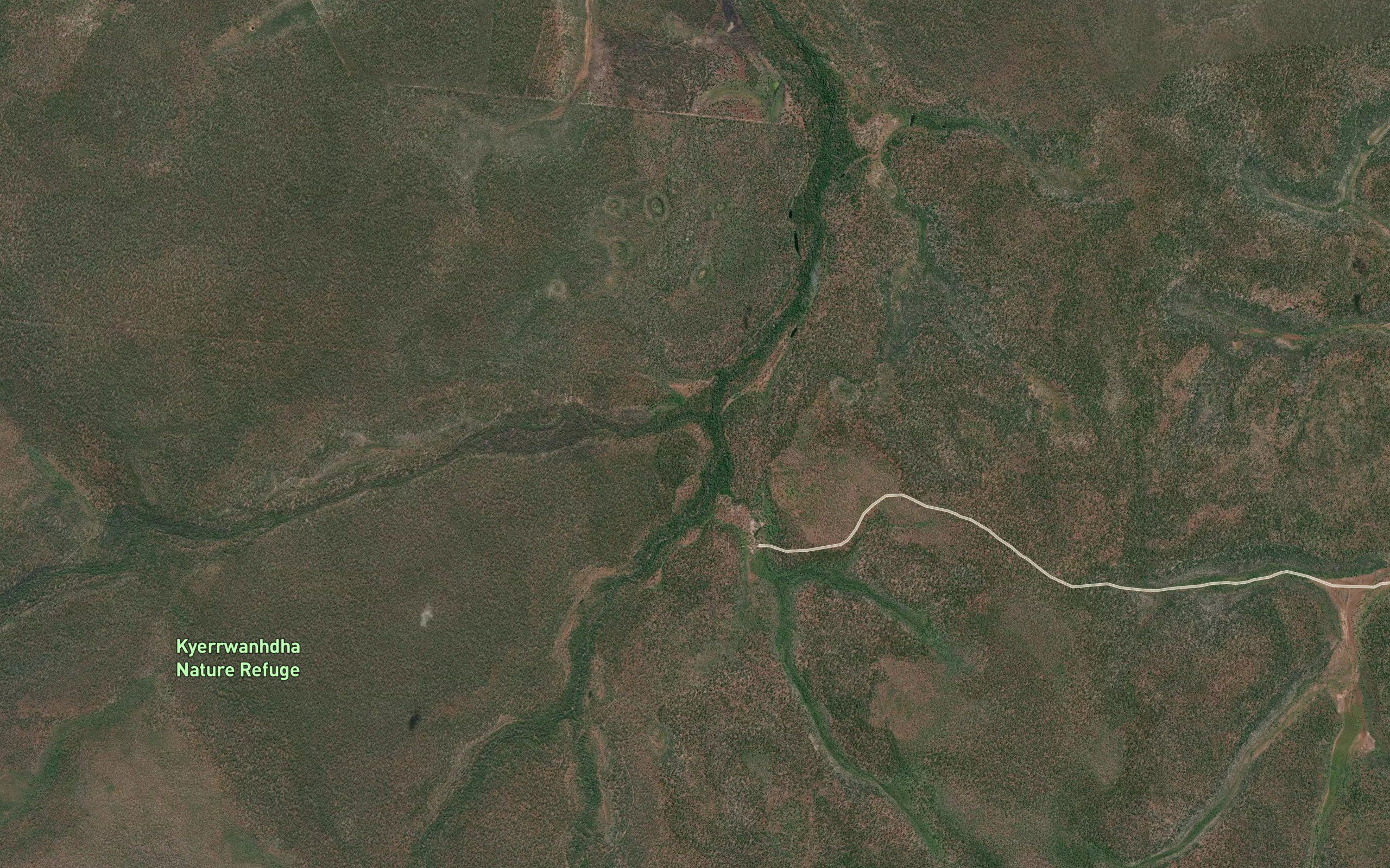 Jungle River
