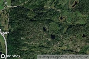 Fjelltjonn