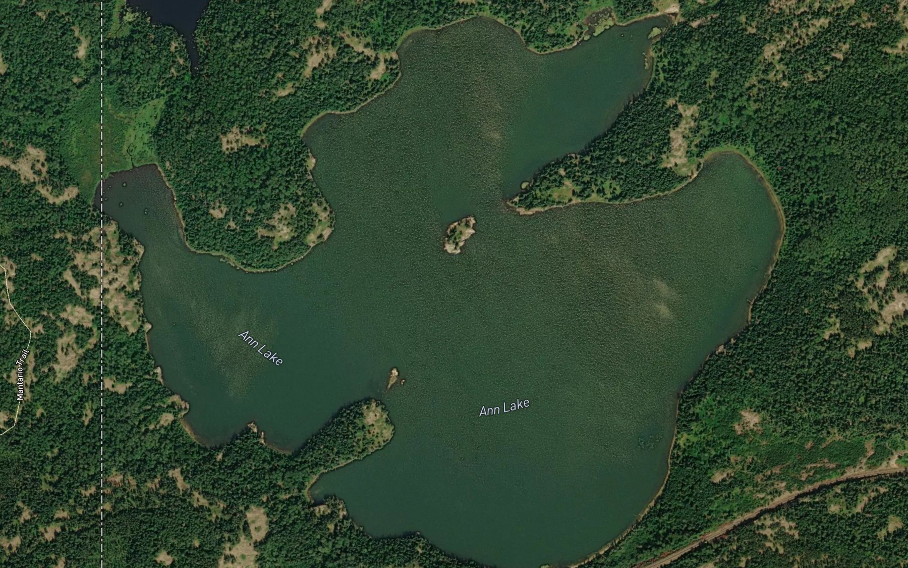 Satellite map of the Ann Lake