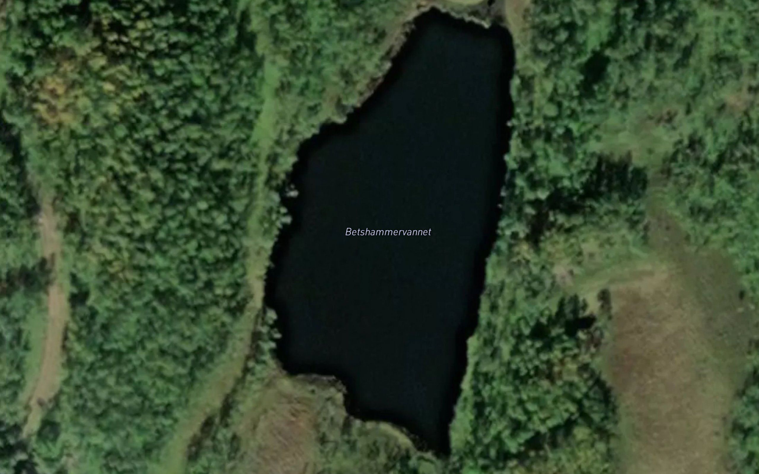 Betshammervannet