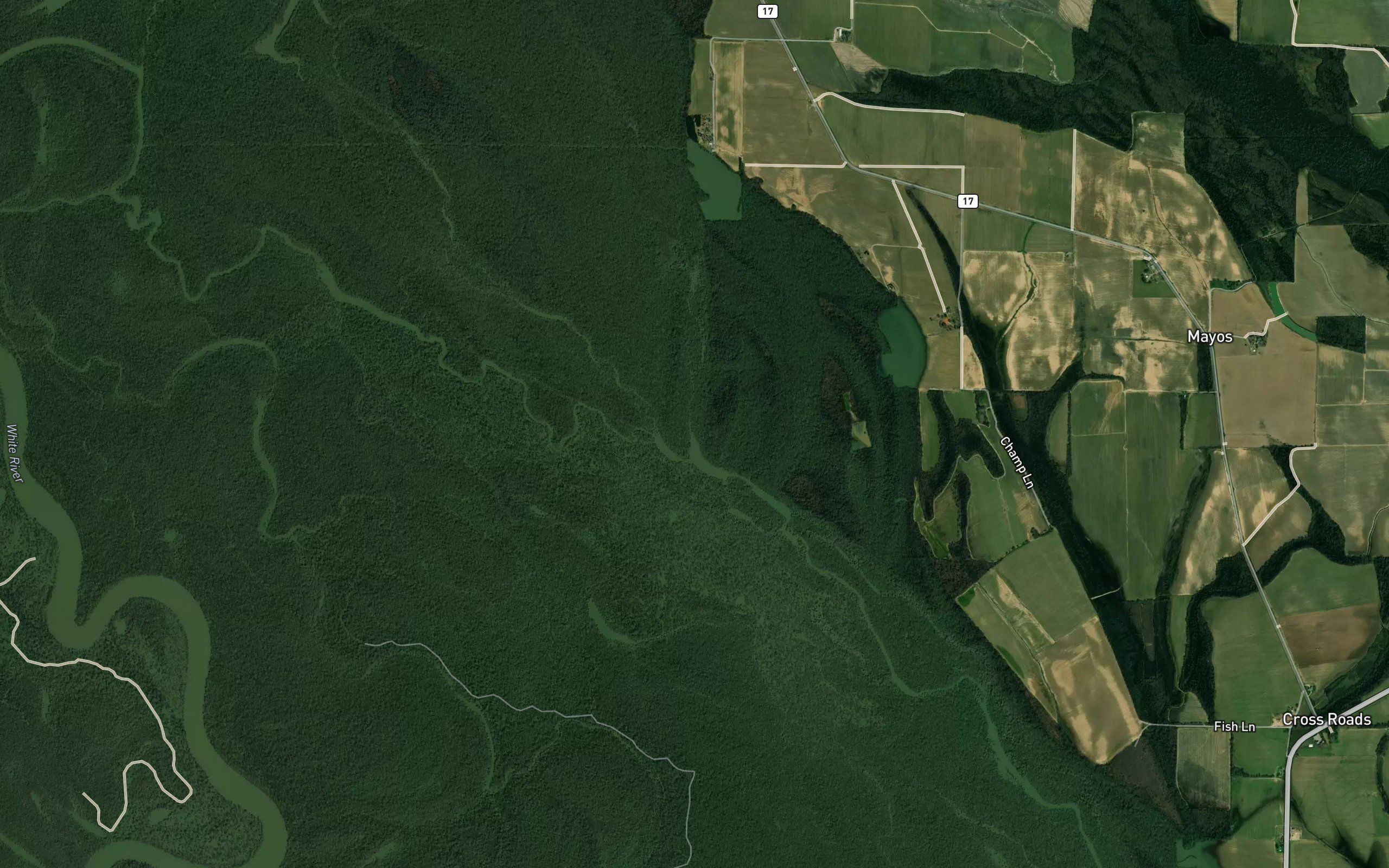 Twin Slough