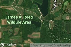 Reed Area Number 9 Lake