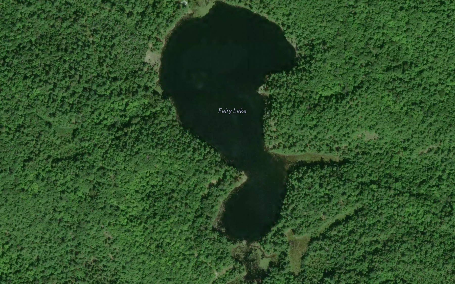 Satellite map of the Fairy Lake