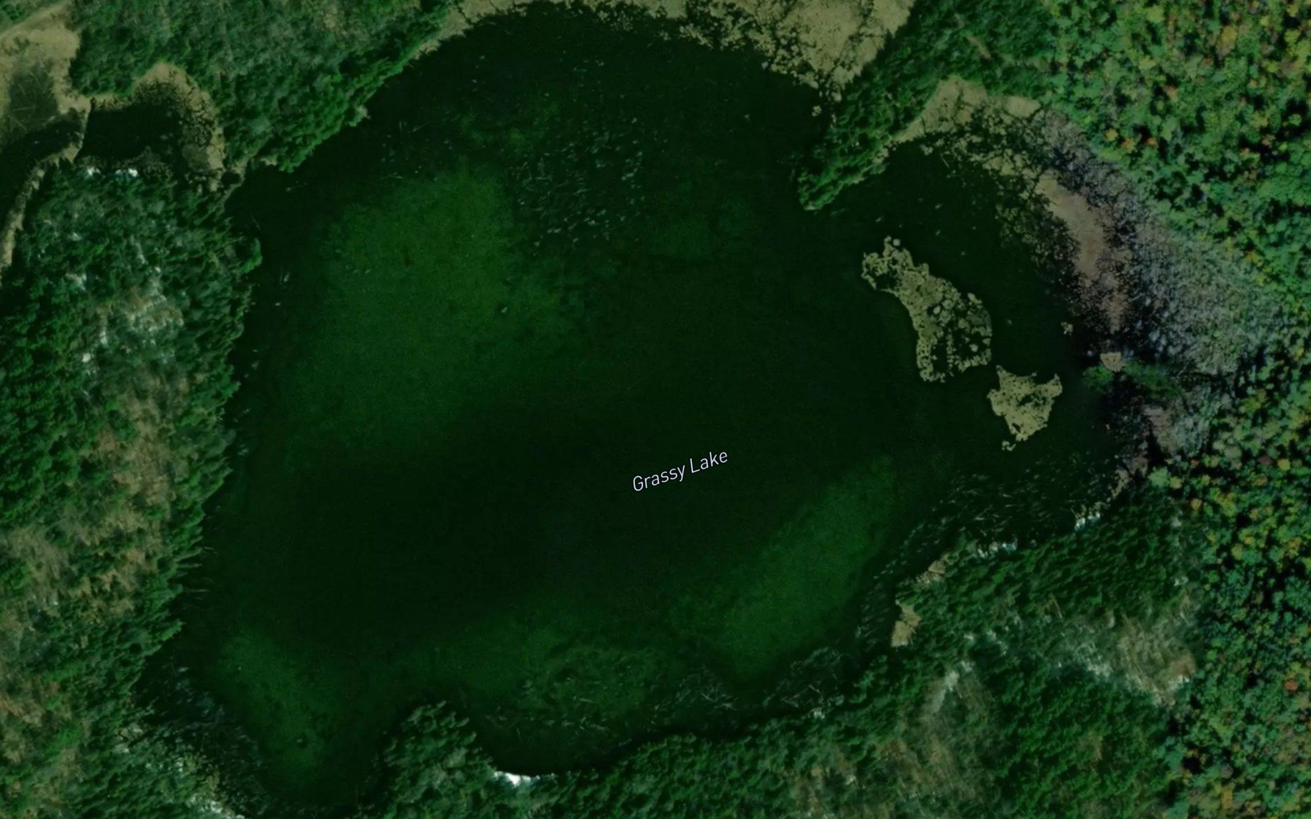 Grassy Lake