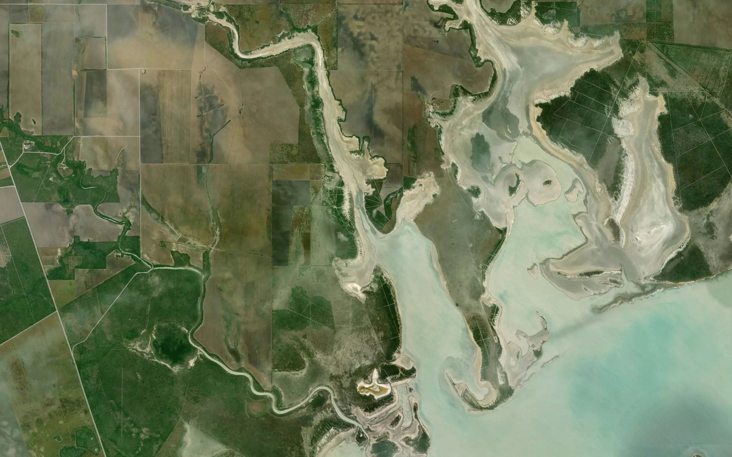 Estero El Perro