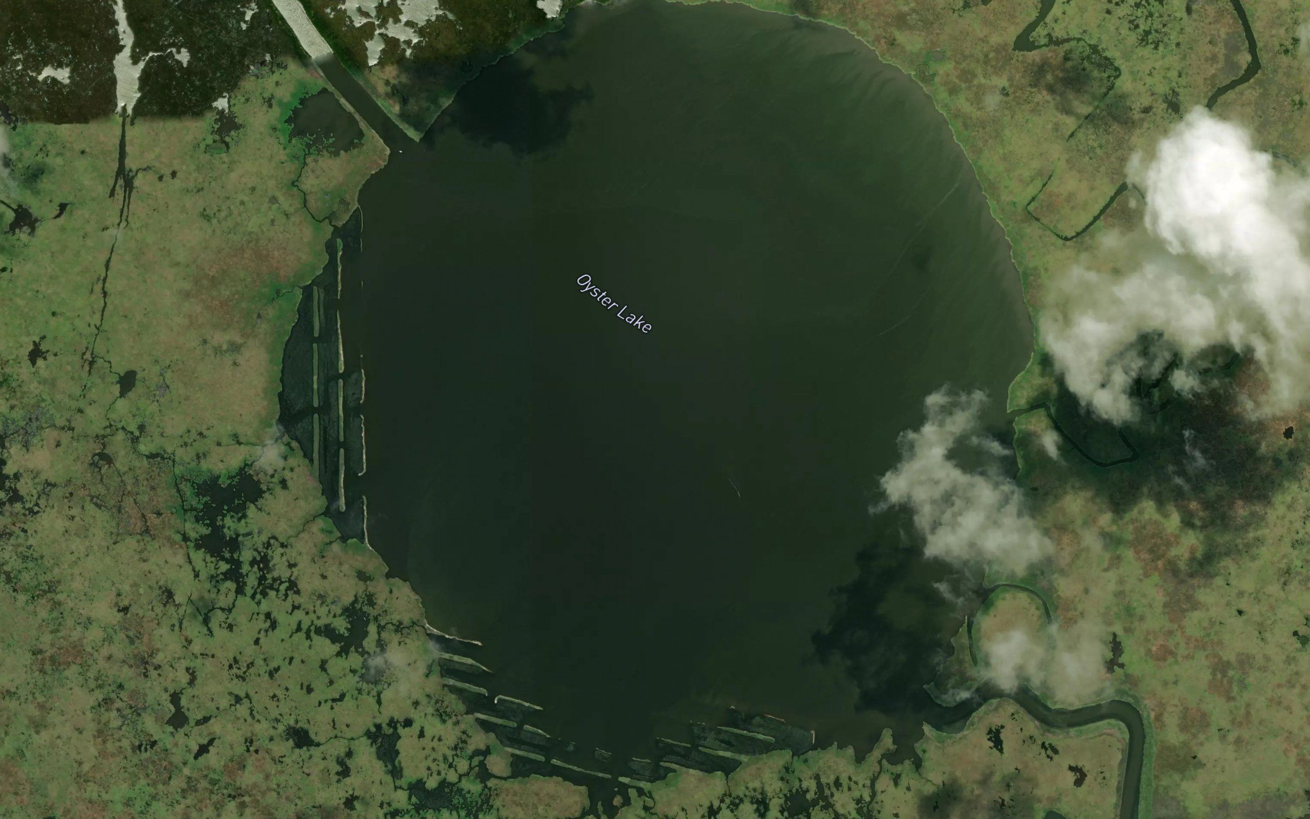 Oyster Lake