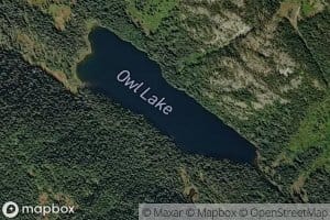 Owl Lake