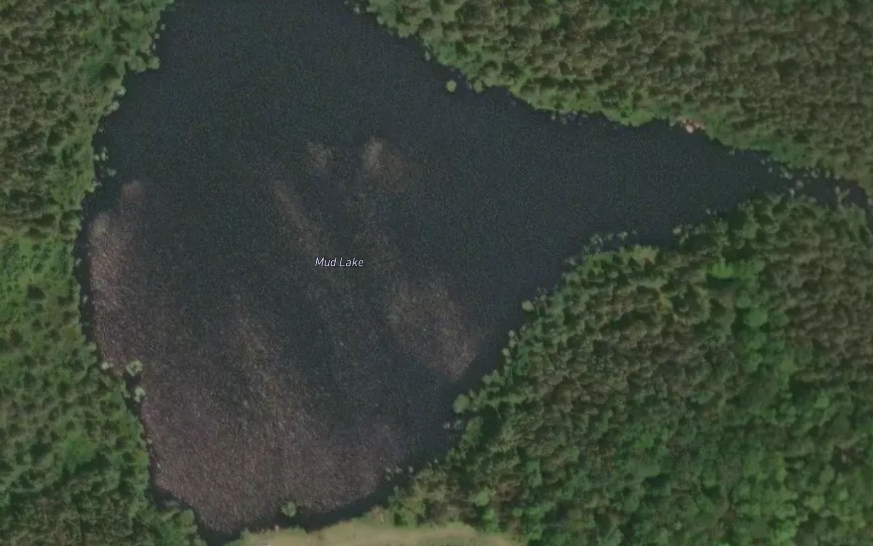 Satellite map of the Mud Lake