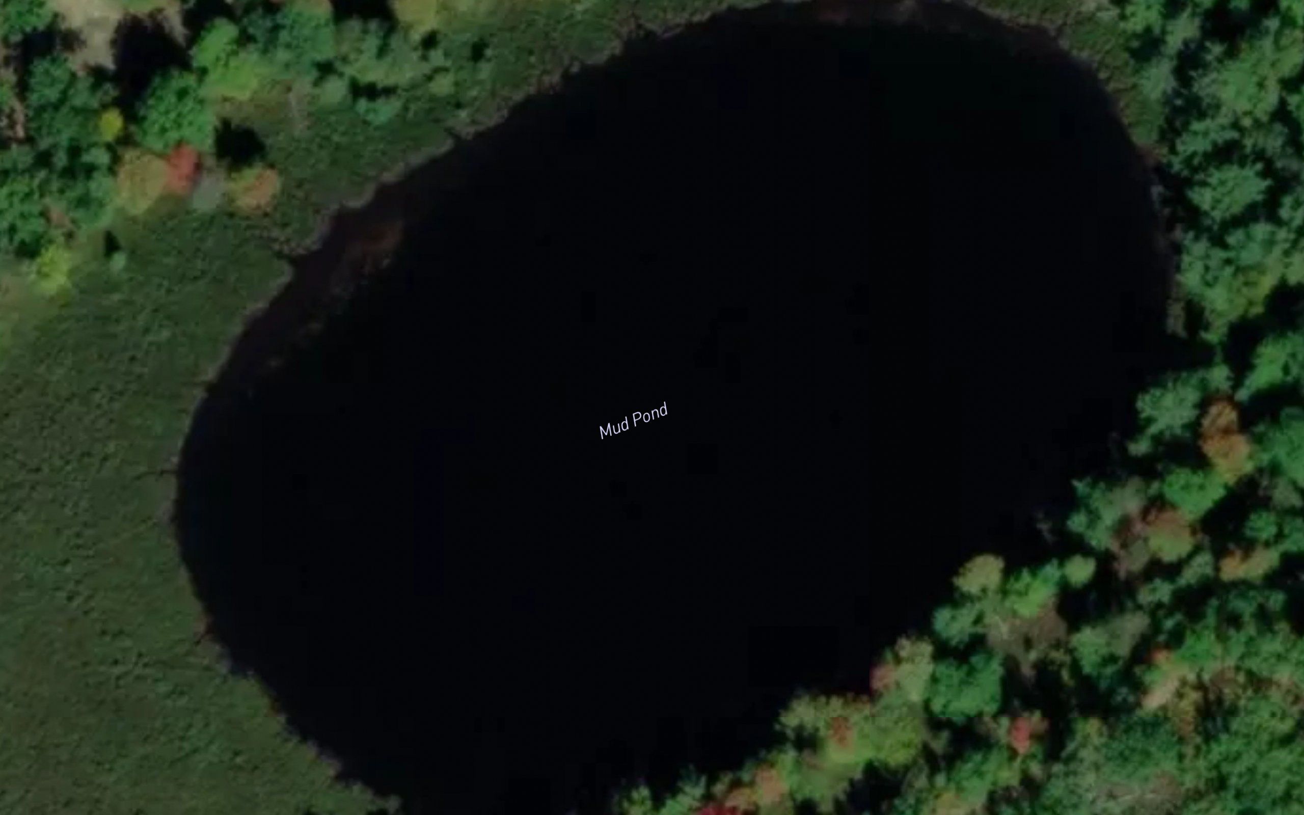 Mud Pond