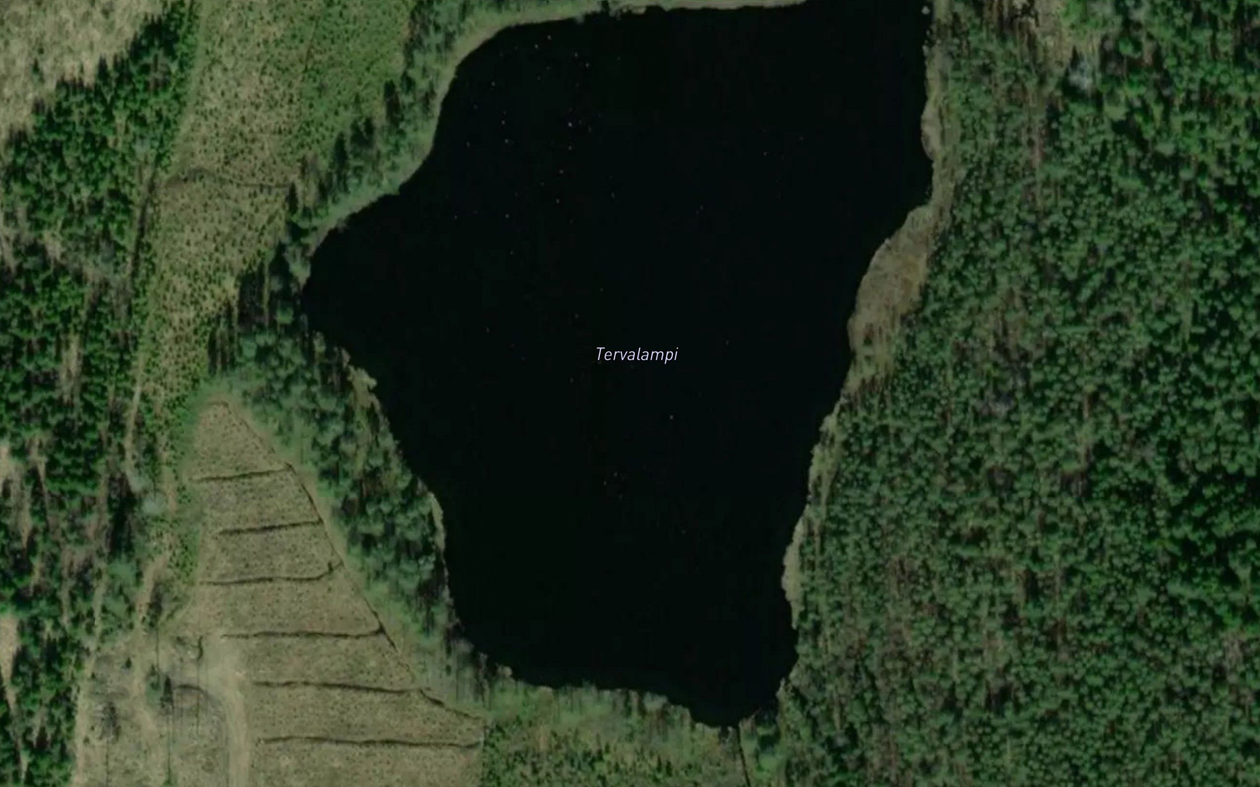 Tervalampi